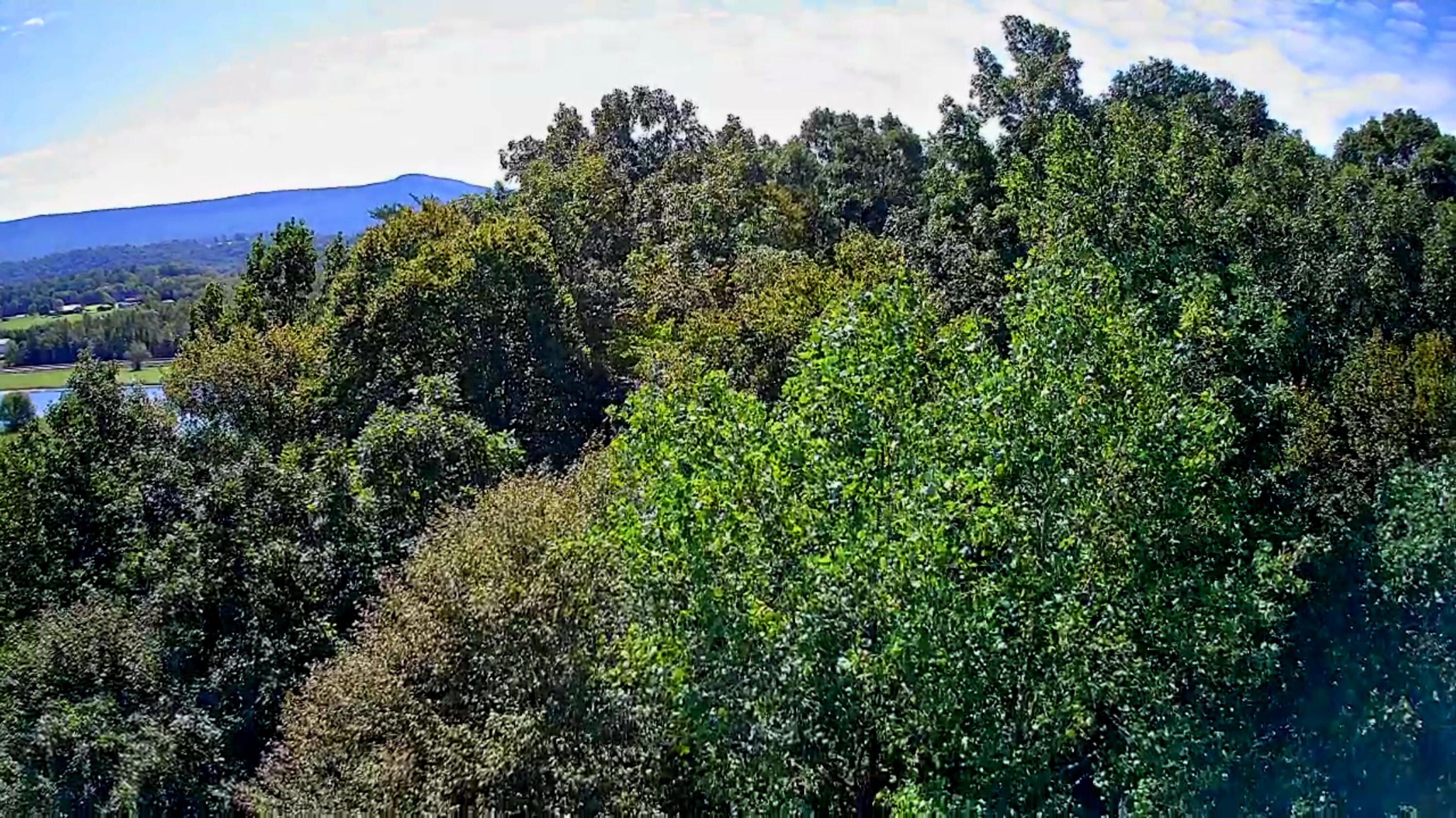 0 Old State Highway 28, 28