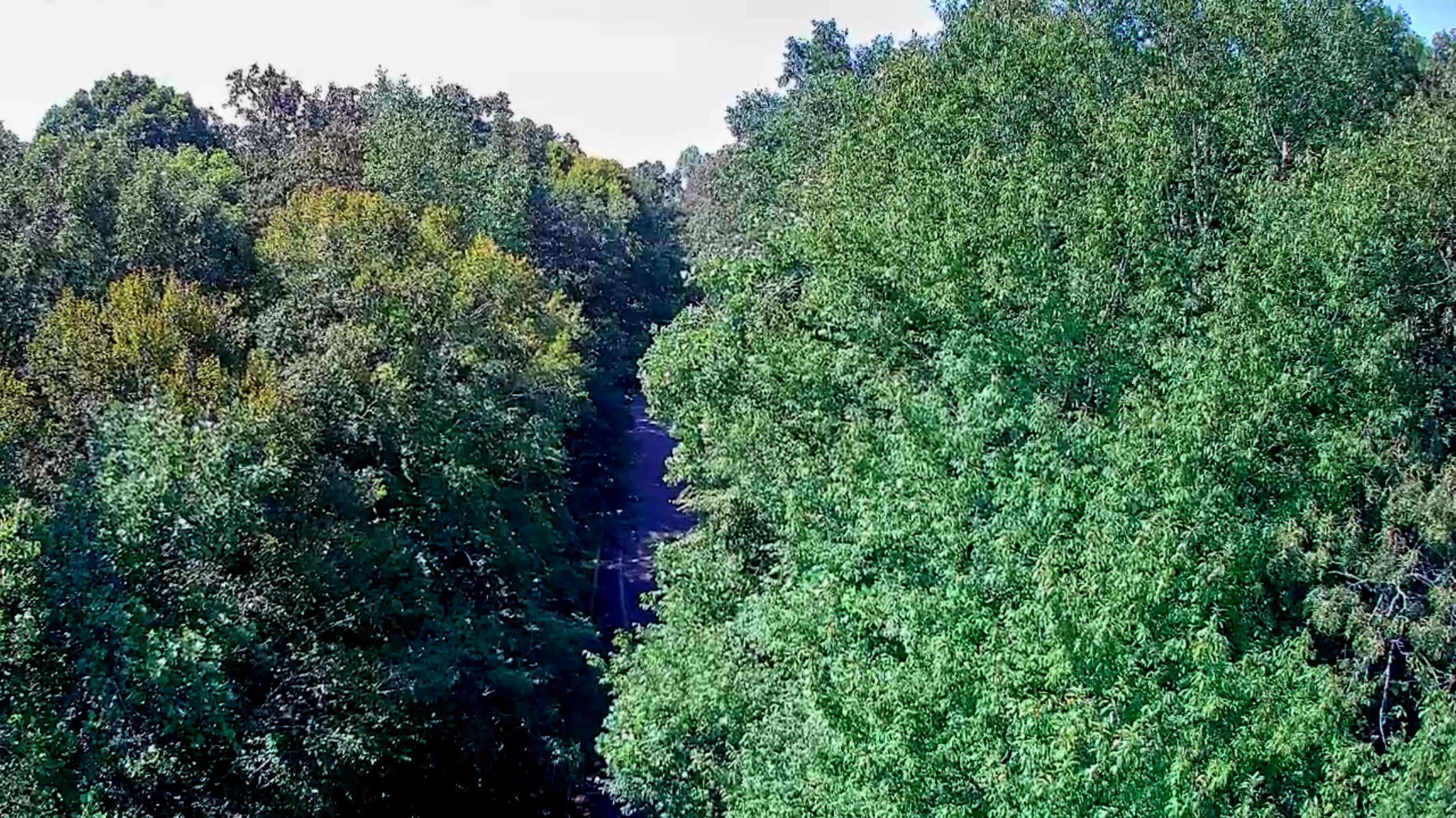 0 Old State Highway 28, 28