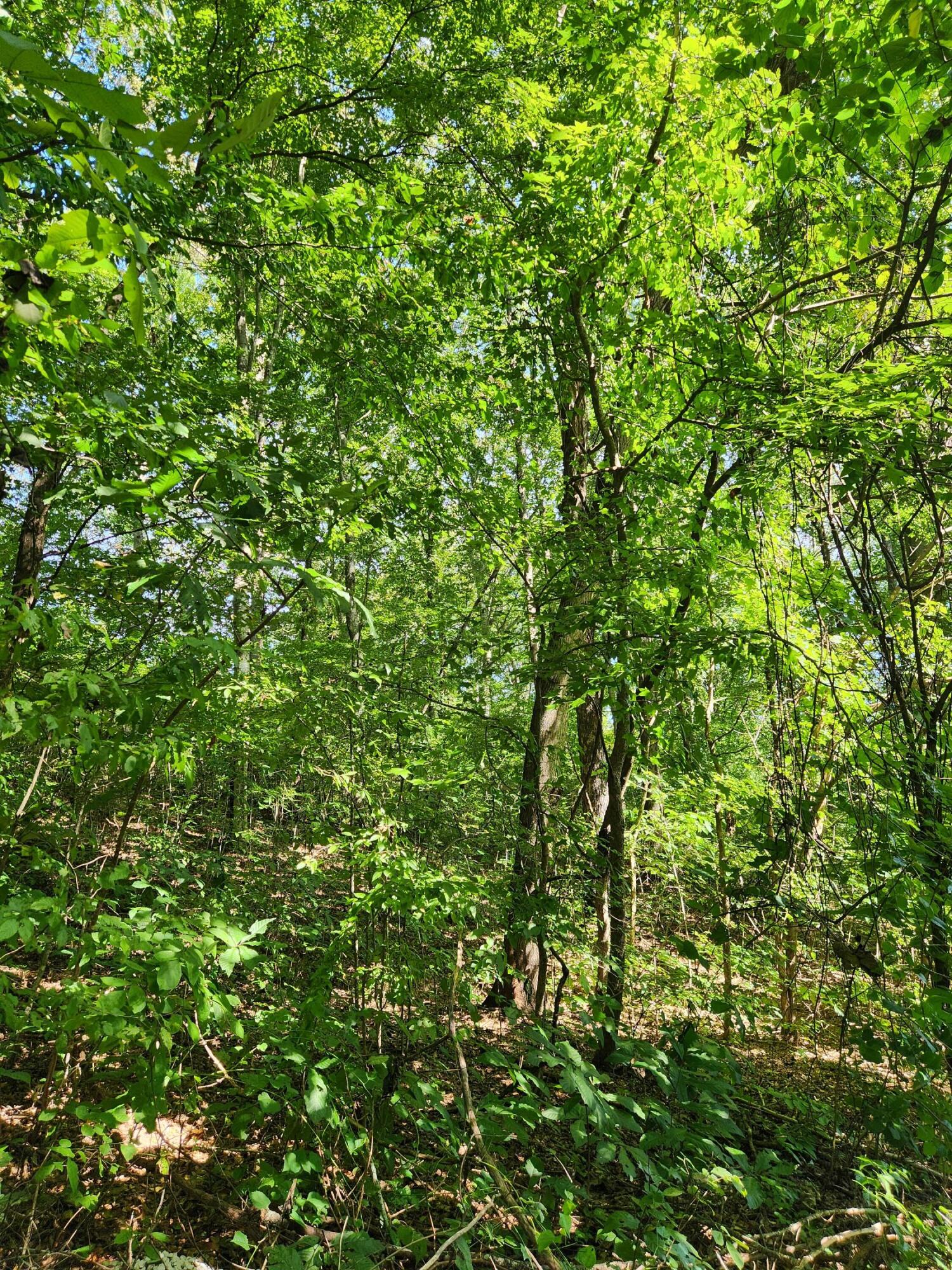 0 Old State Highway 28, 28