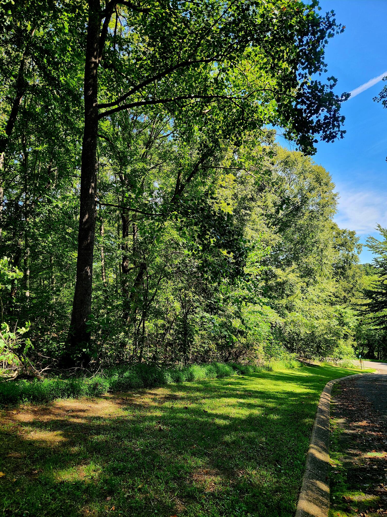 0 Old State Highway 28, 28