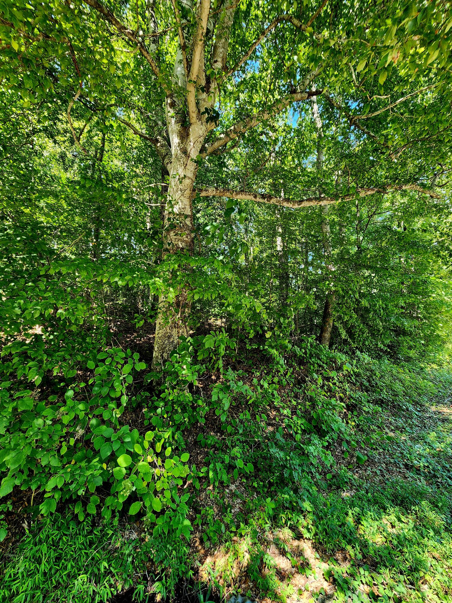 0 Old State Highway 28, 28