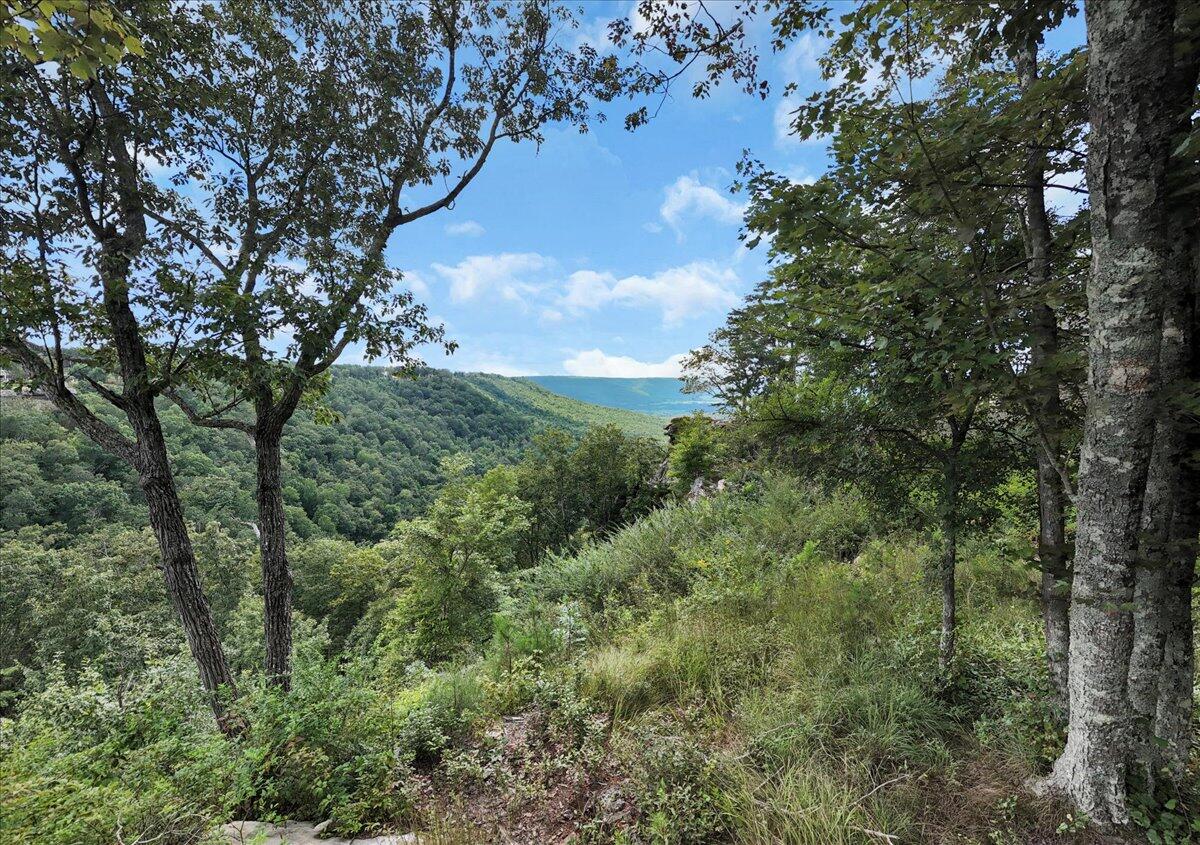 0 Raulston Falls Road, Jf 8a