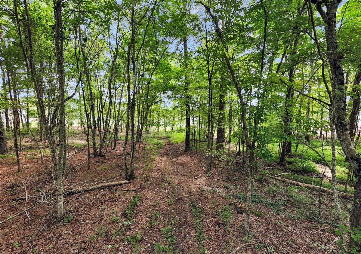 0 Raulston Falls Road, Jf 8a