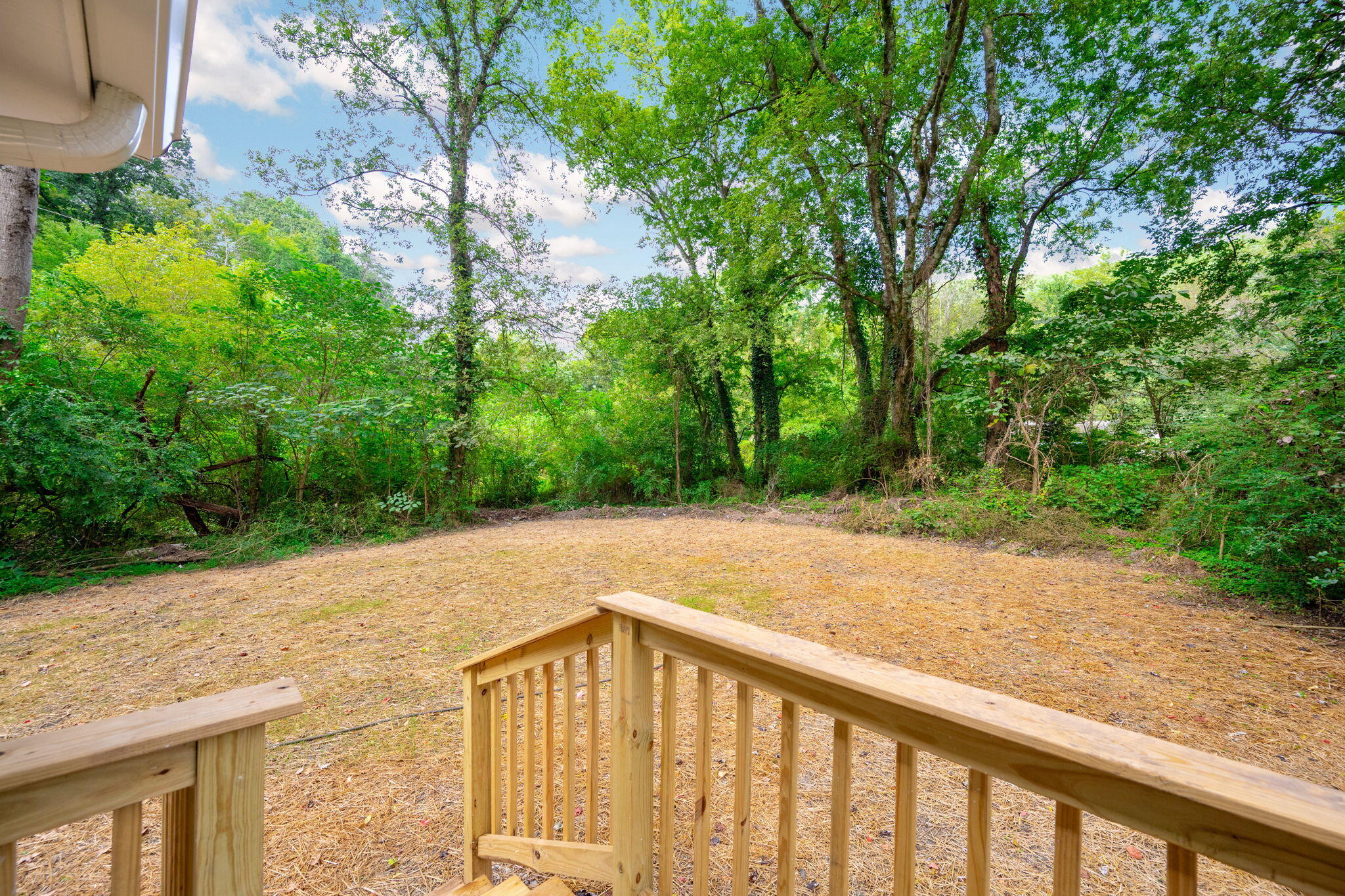 11251 Hallett Street