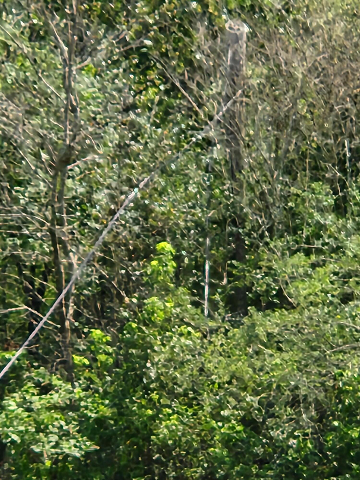 2280 S Highway S 27, LaFayette