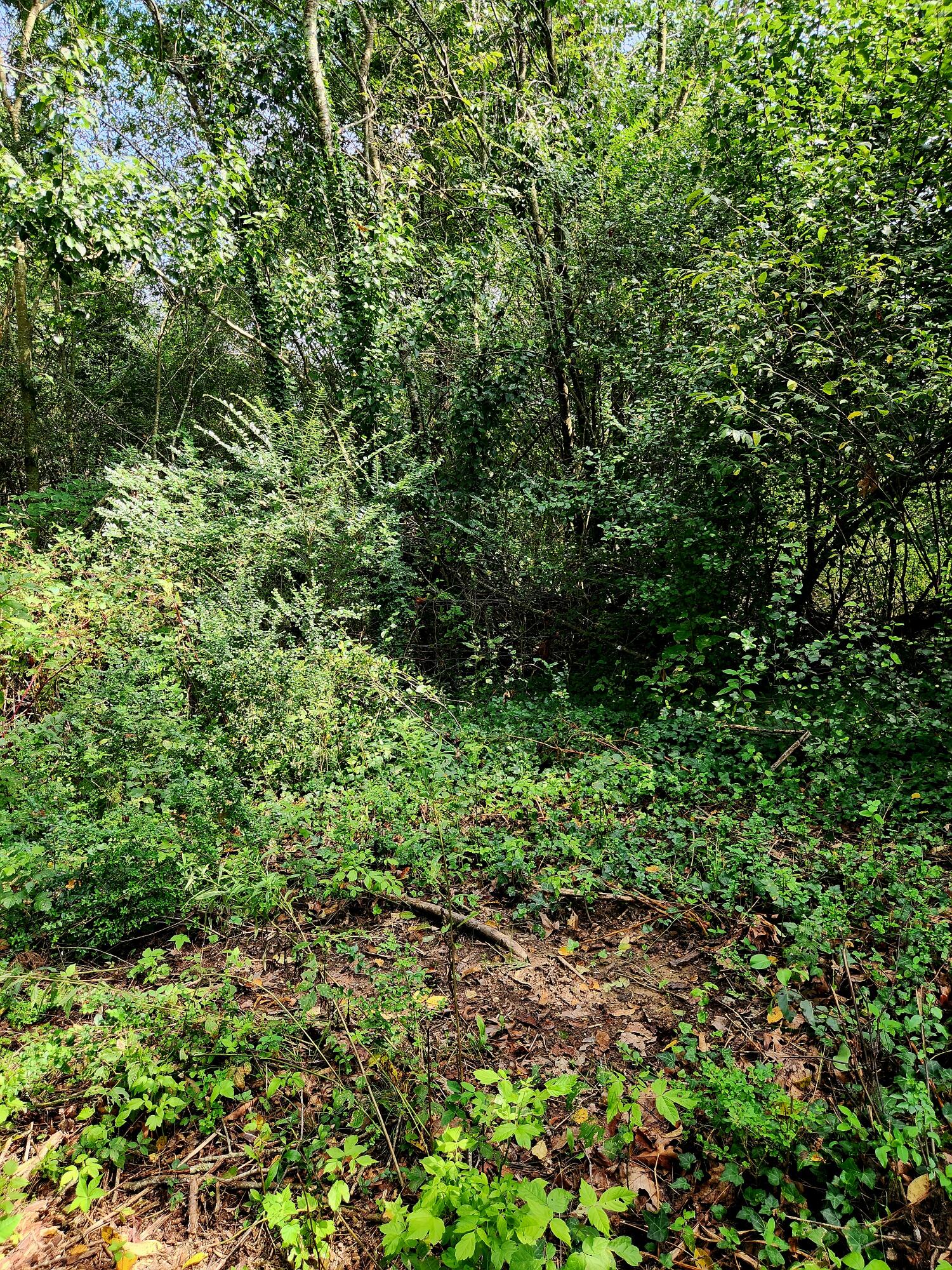 2280 S Highway S 27, LaFayette