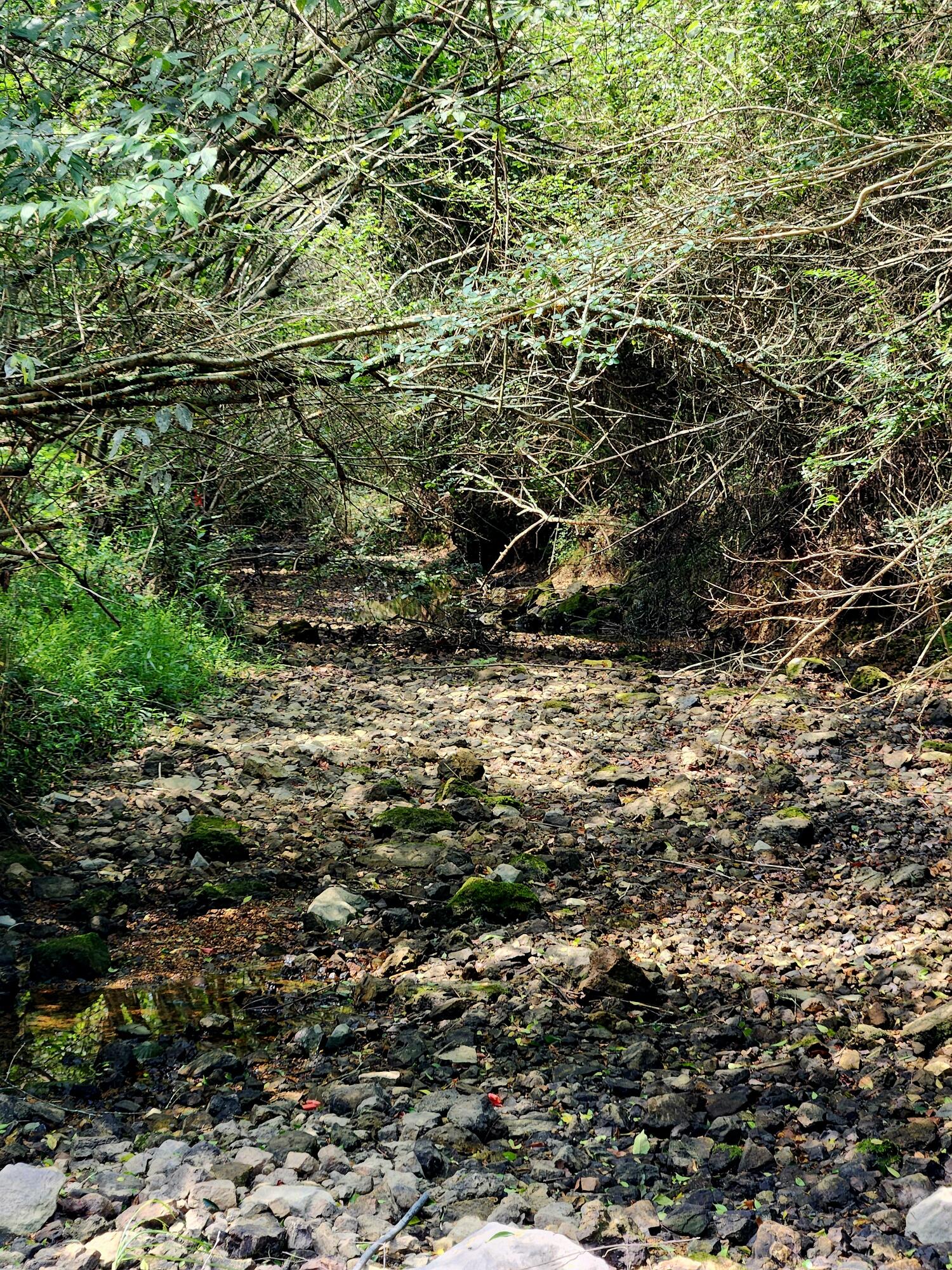 2280 S Highway S 27, LaFayette