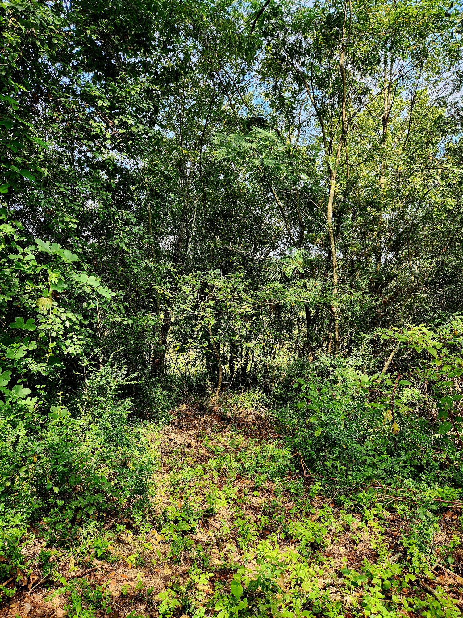 2280 S Highway S 27, LaFayette