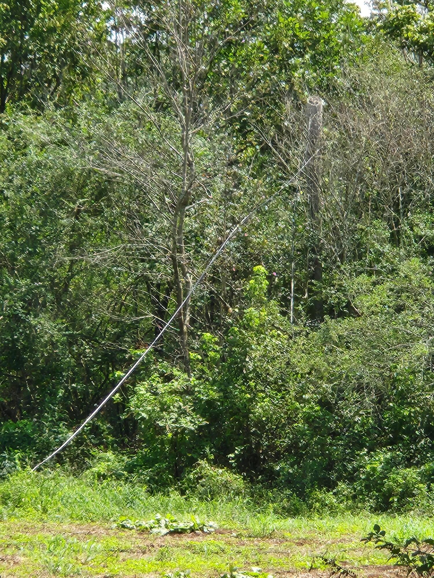 2280 S Highway S 27, LaFayette