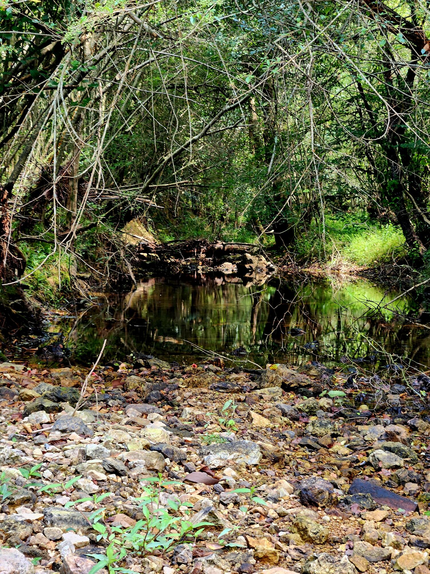 2280 S Highway S 27, LaFayette