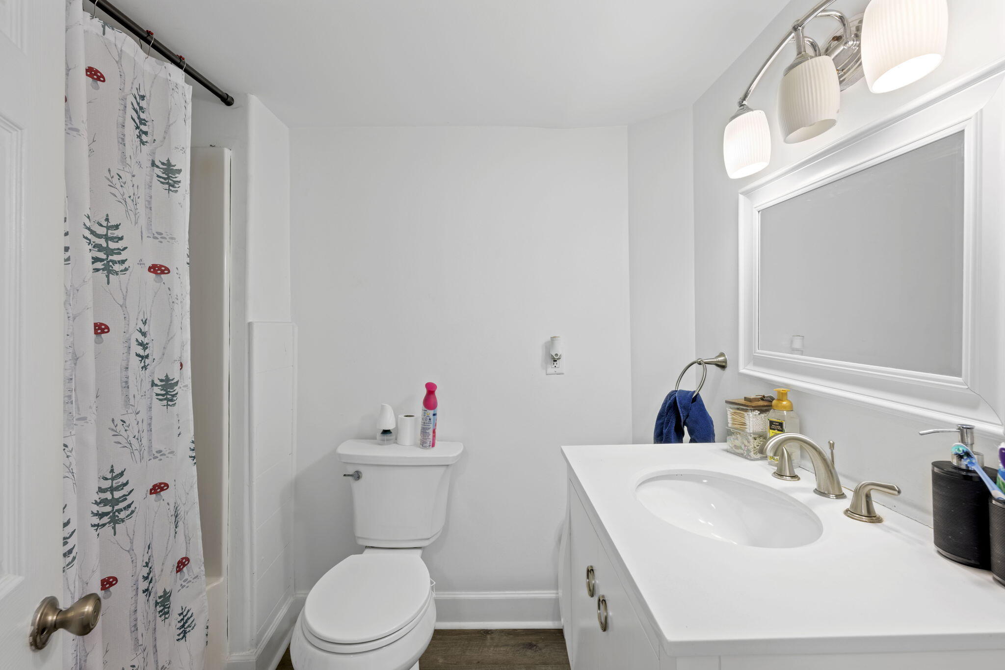 2904 Bryant Drive SW