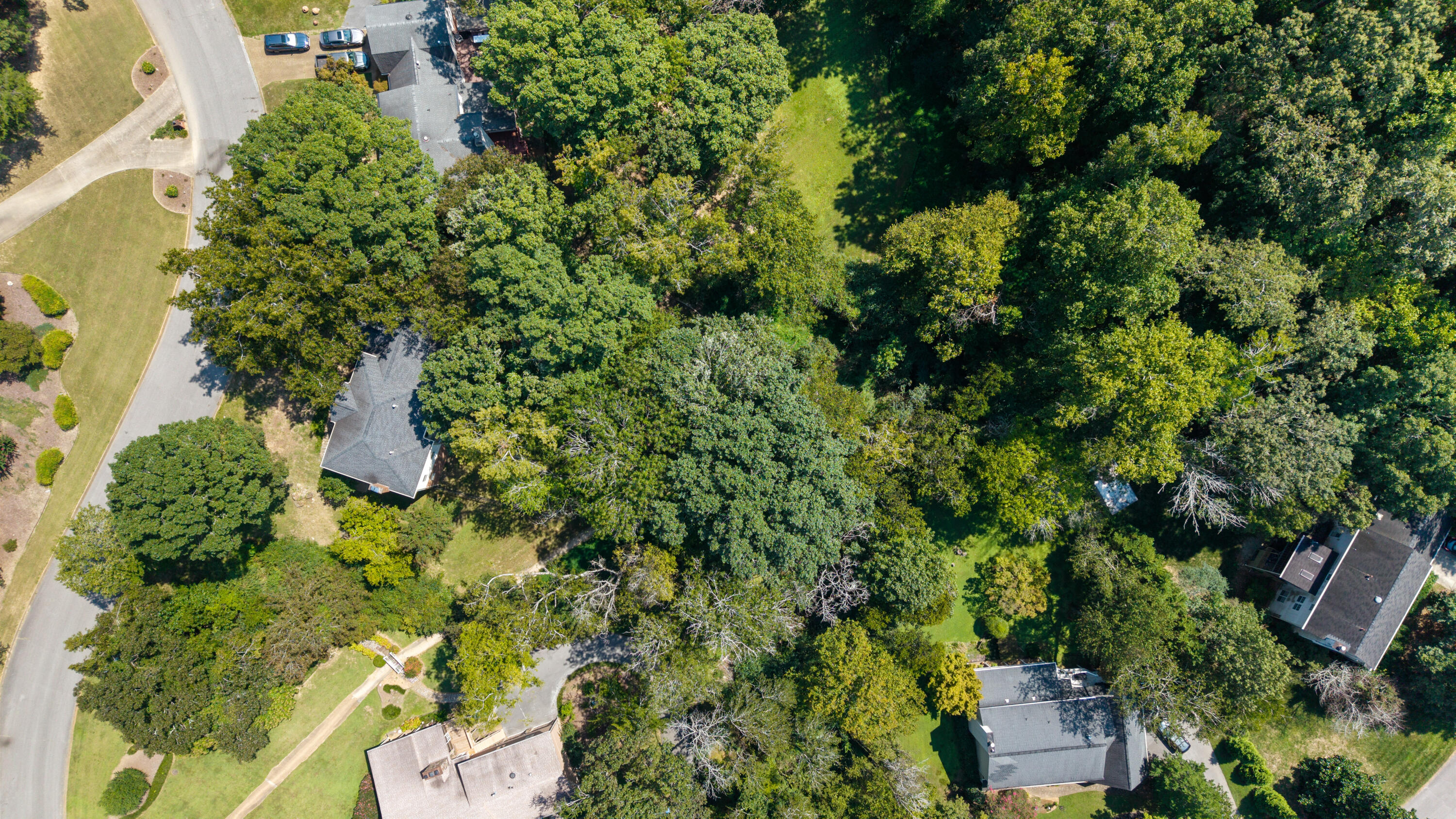 1704 Valley Forge Drive