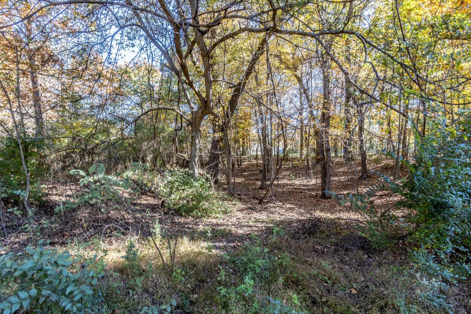 3132 Seminole Loop, 4106