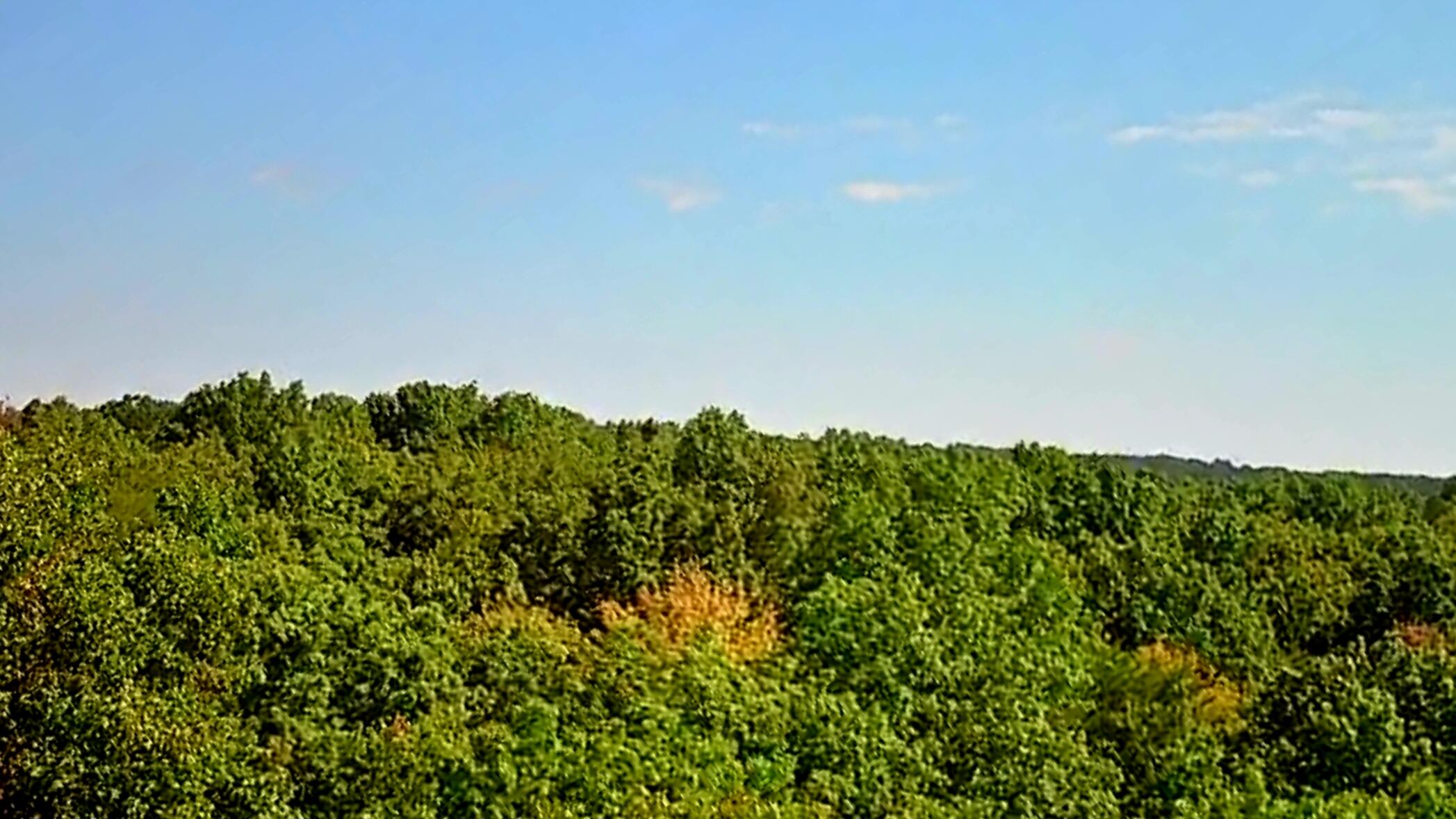 0 Ridge View Lane, 129