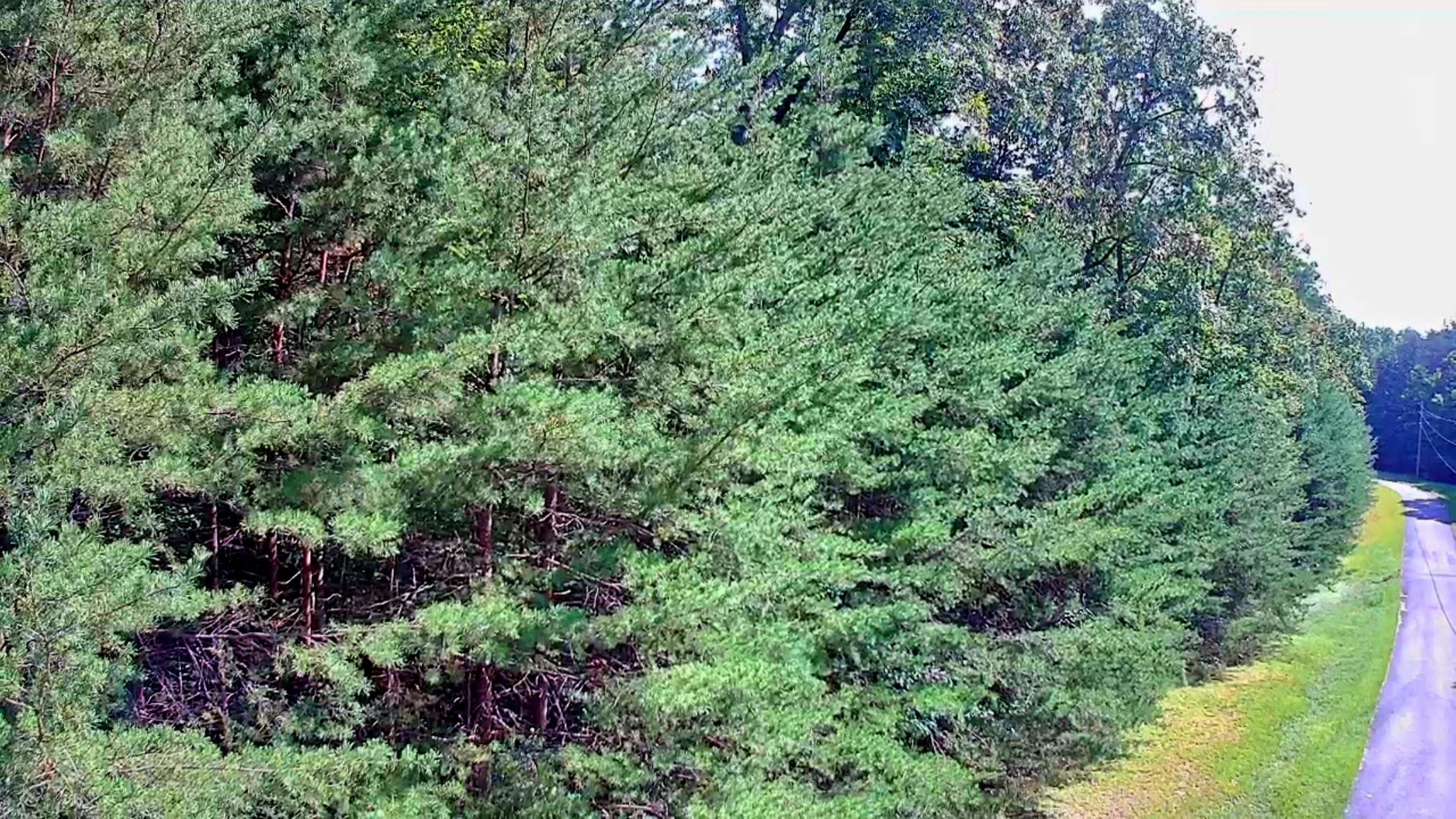 0 Ridge View Lane, 129