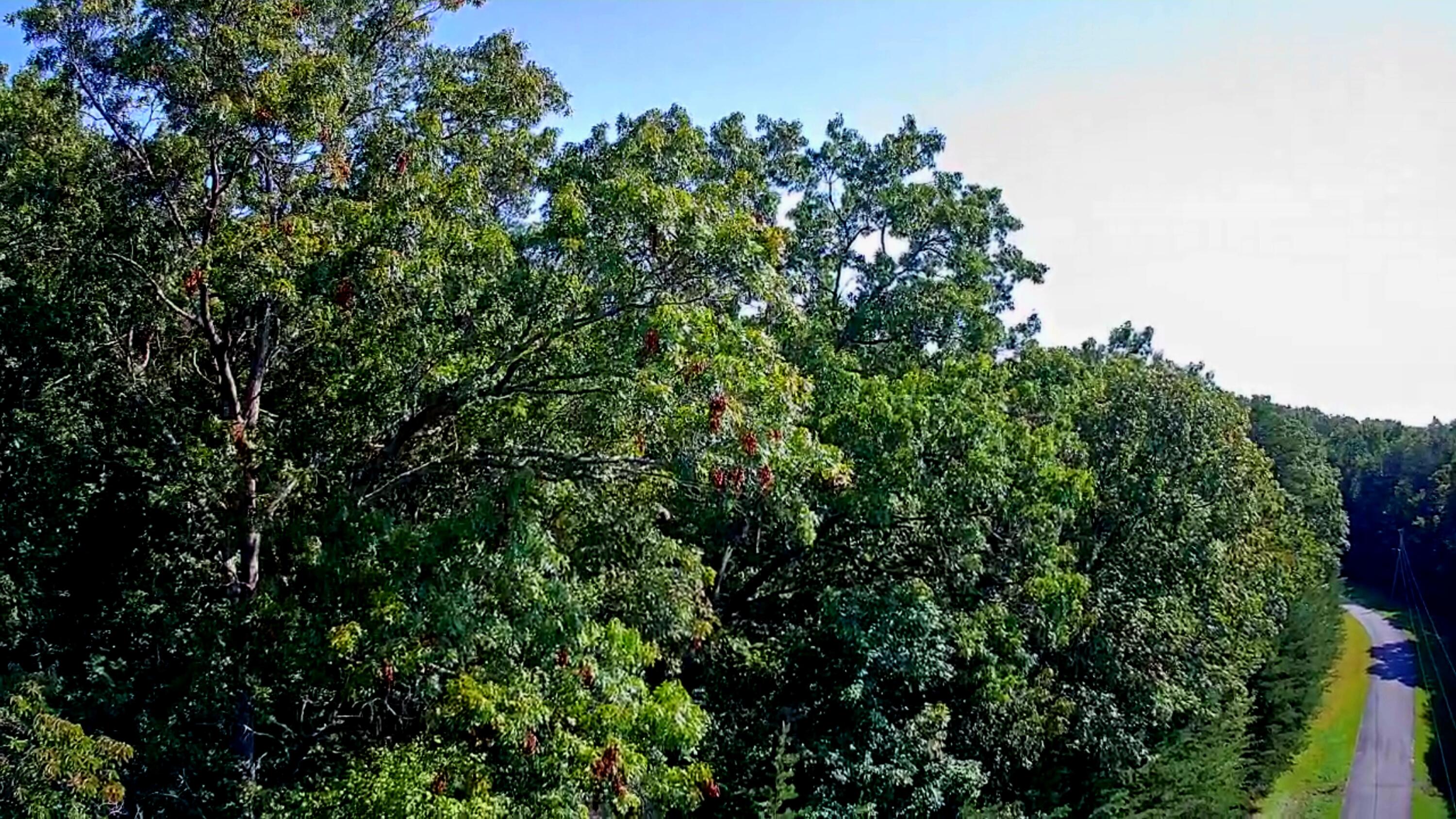 0 Ridge View Lane, 129