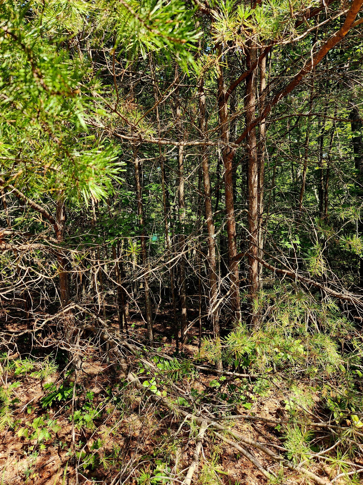 0 Ridge View Lane, 129