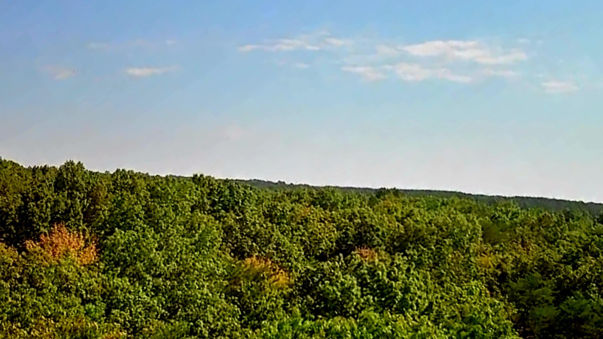 0 Ridge View Lane, 129