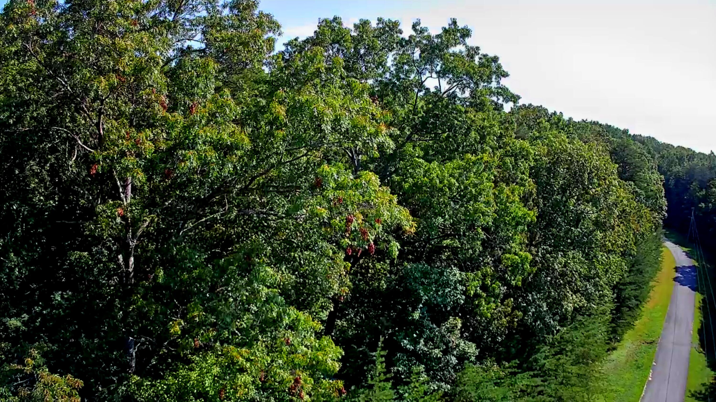 0 Ridge View Lane, 129