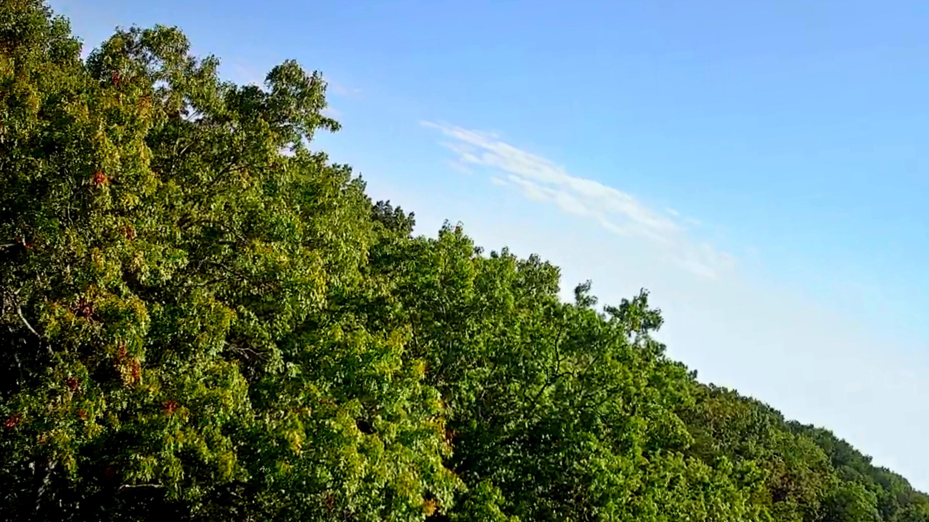 0 Ridge View Lane, 129