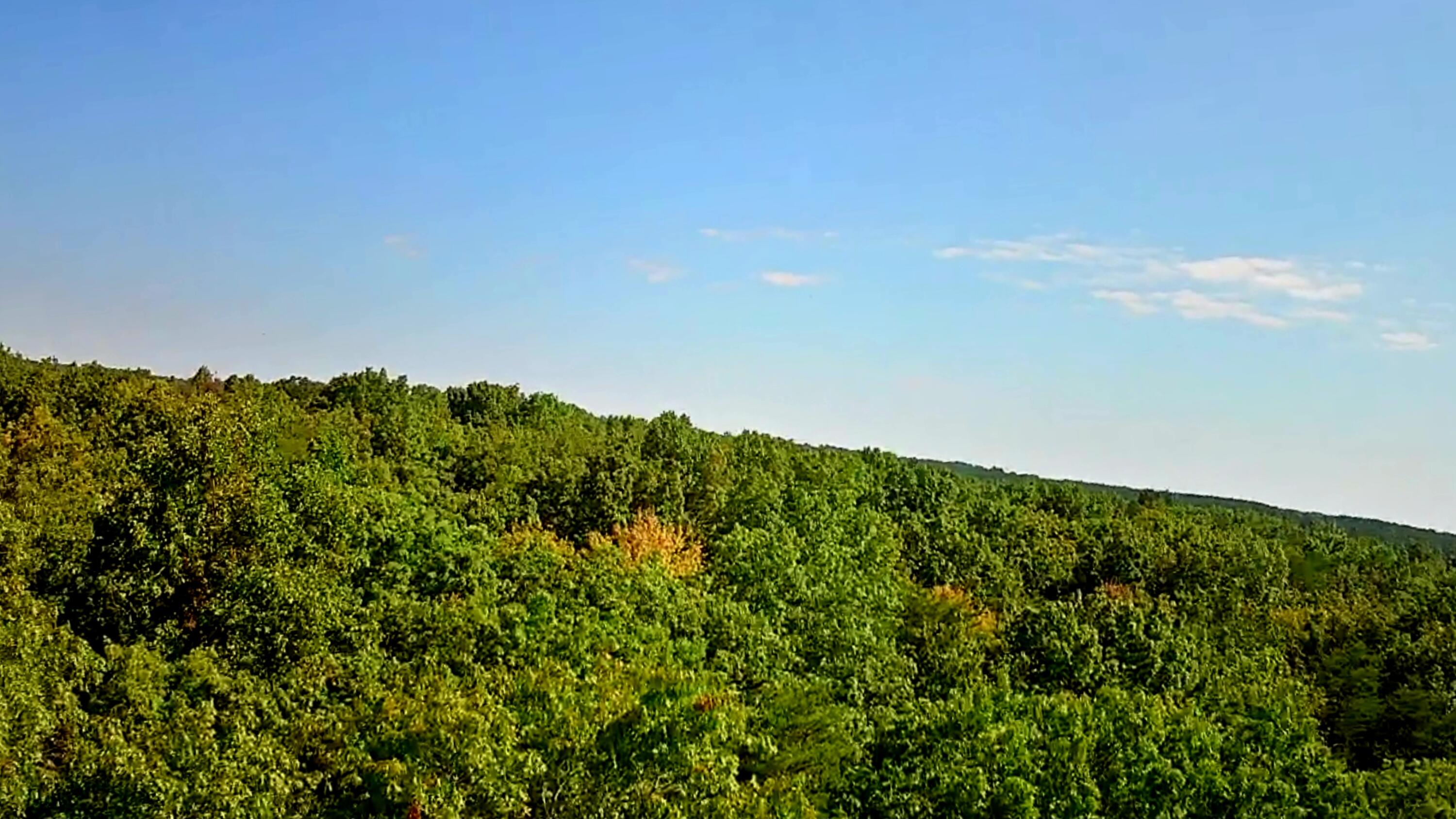 0 Ridge View Lane, 129