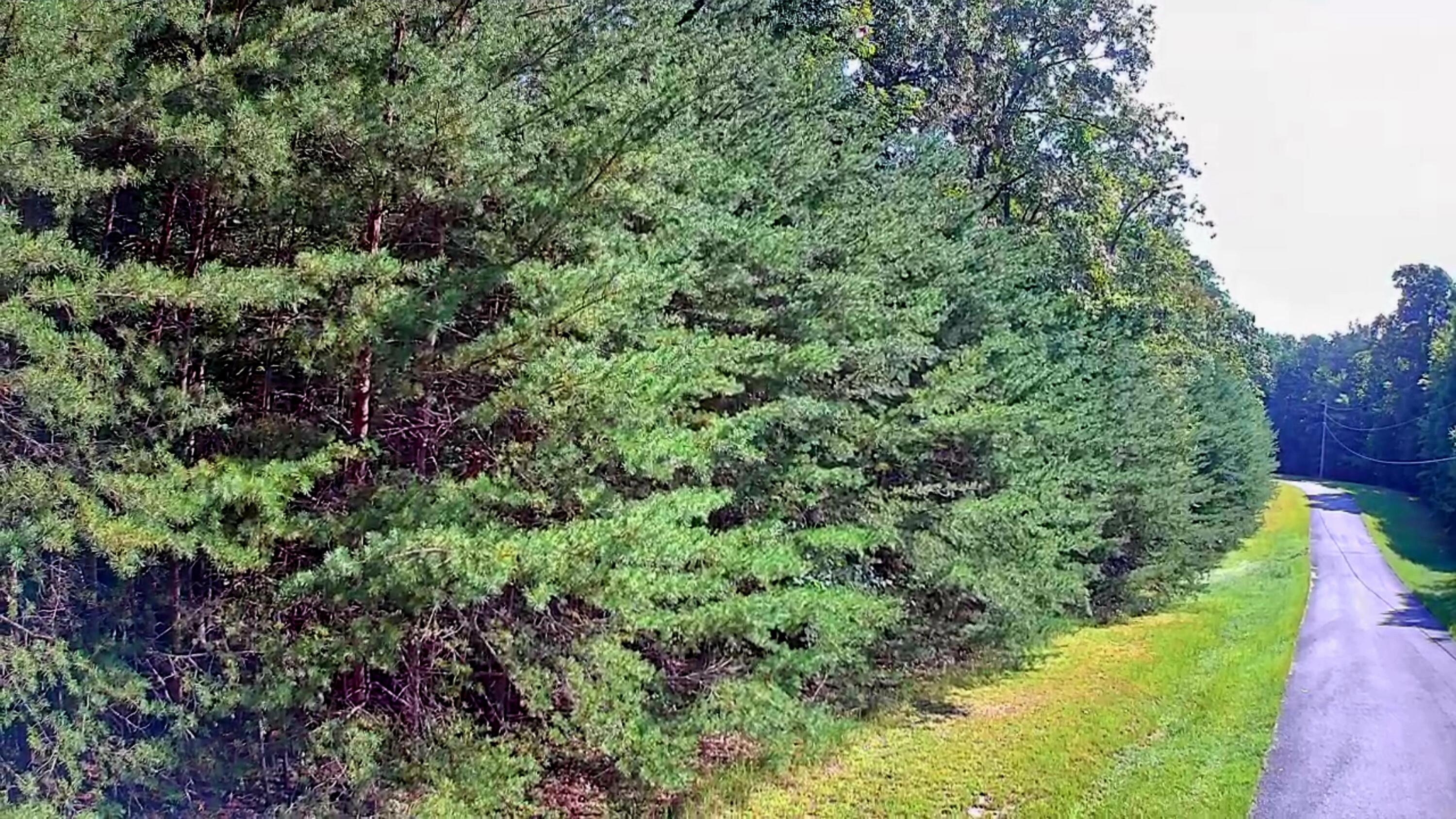 0 Ridge View Lane, 129