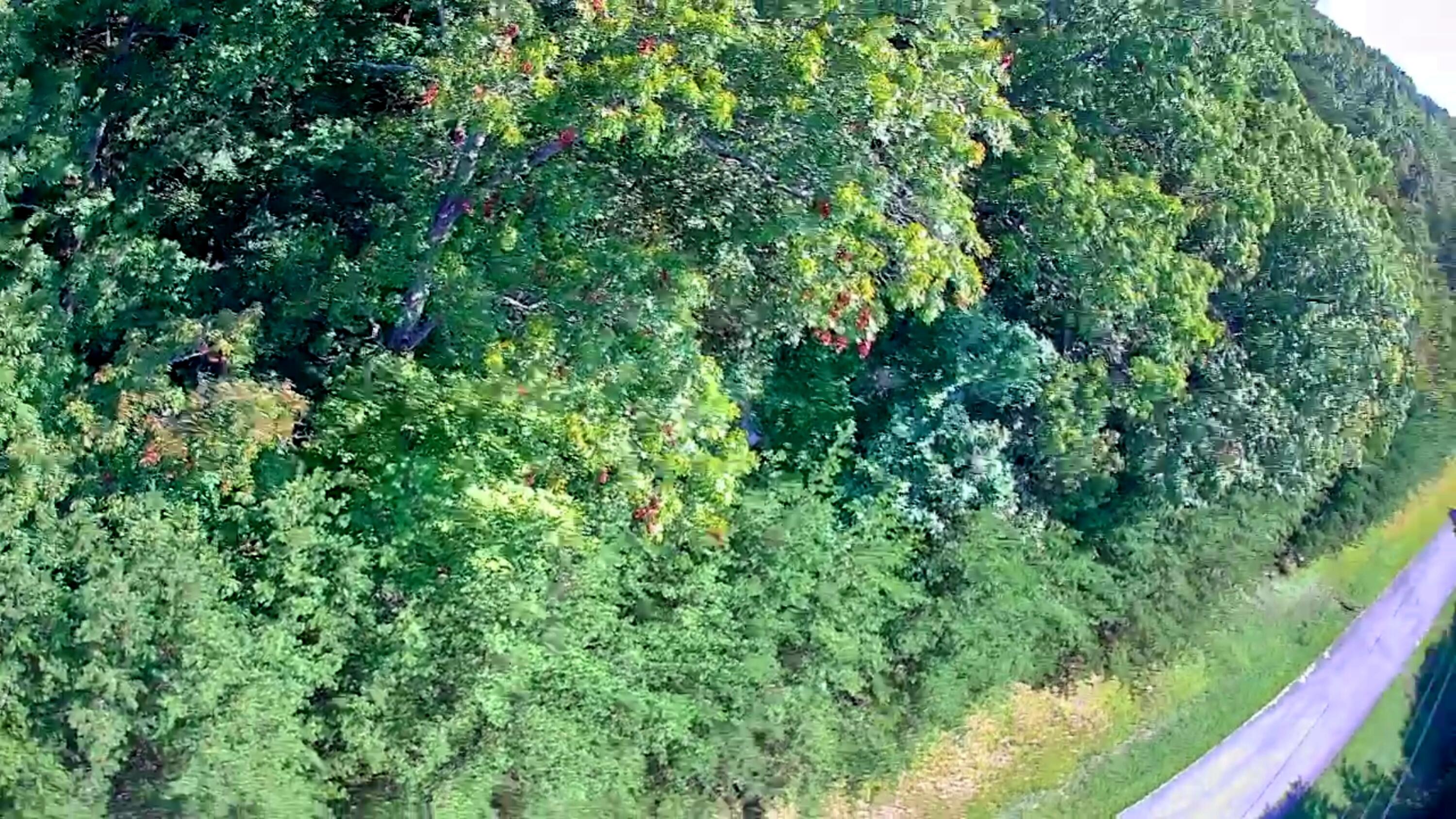 0 Ridge View Lane, 129