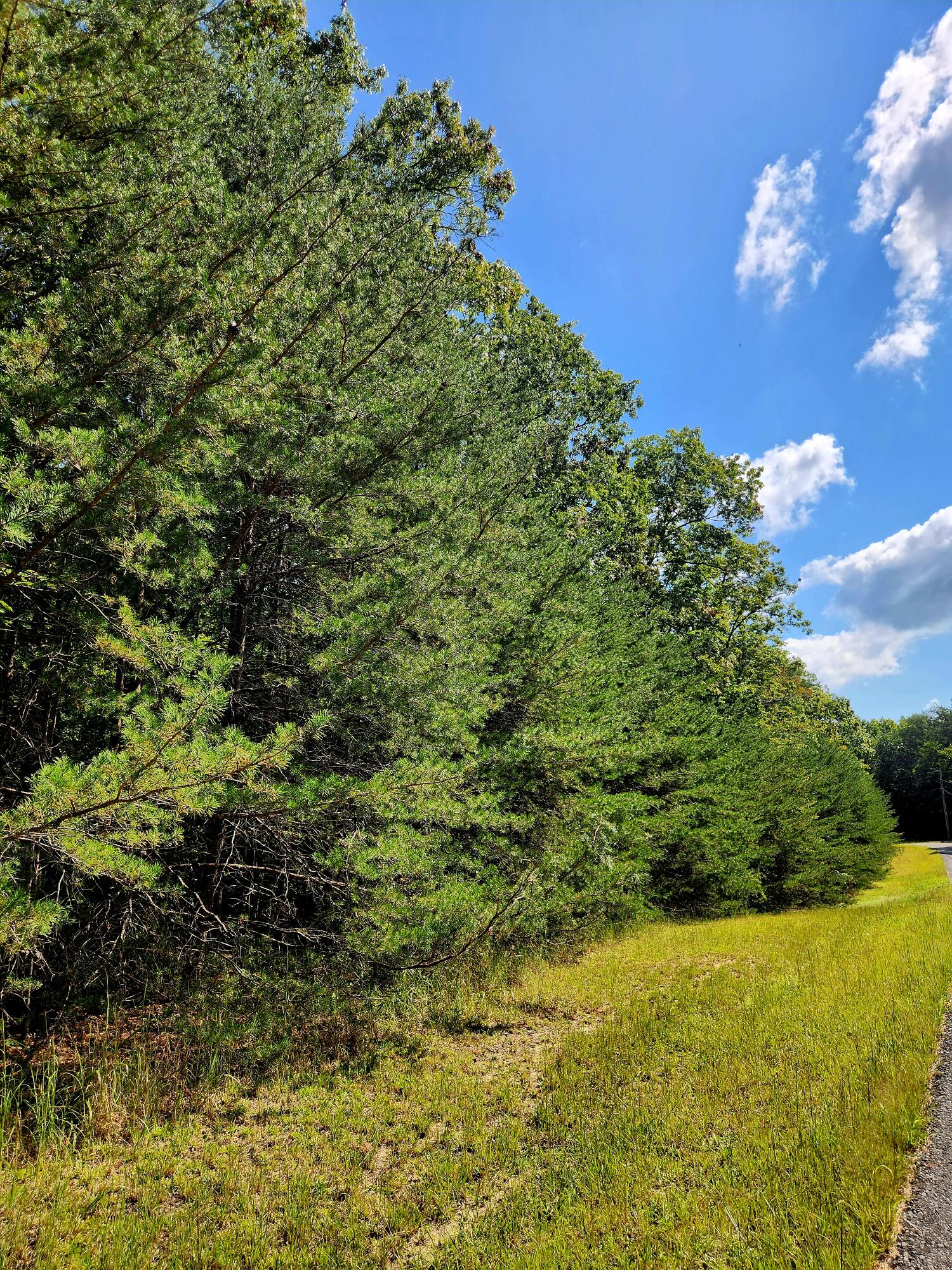 0 Ridge View Lane, 129