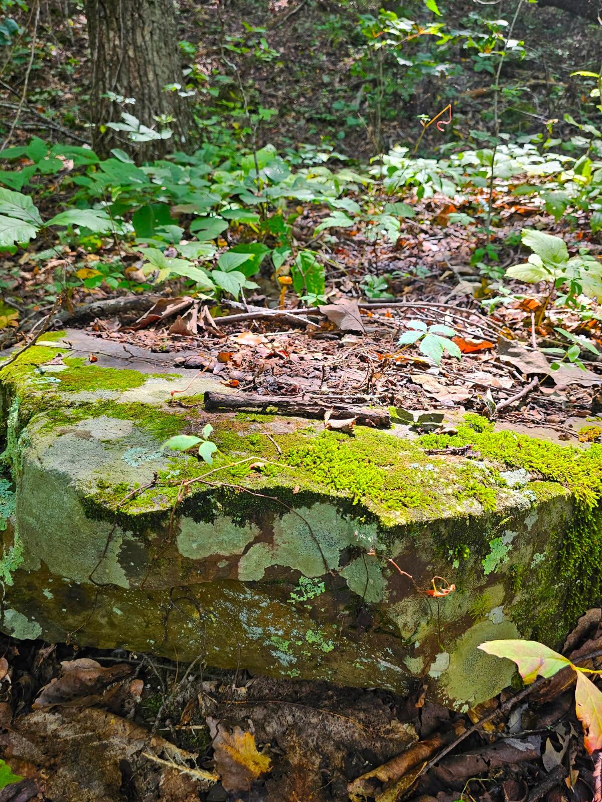 0 Sussex Lot 18 Road