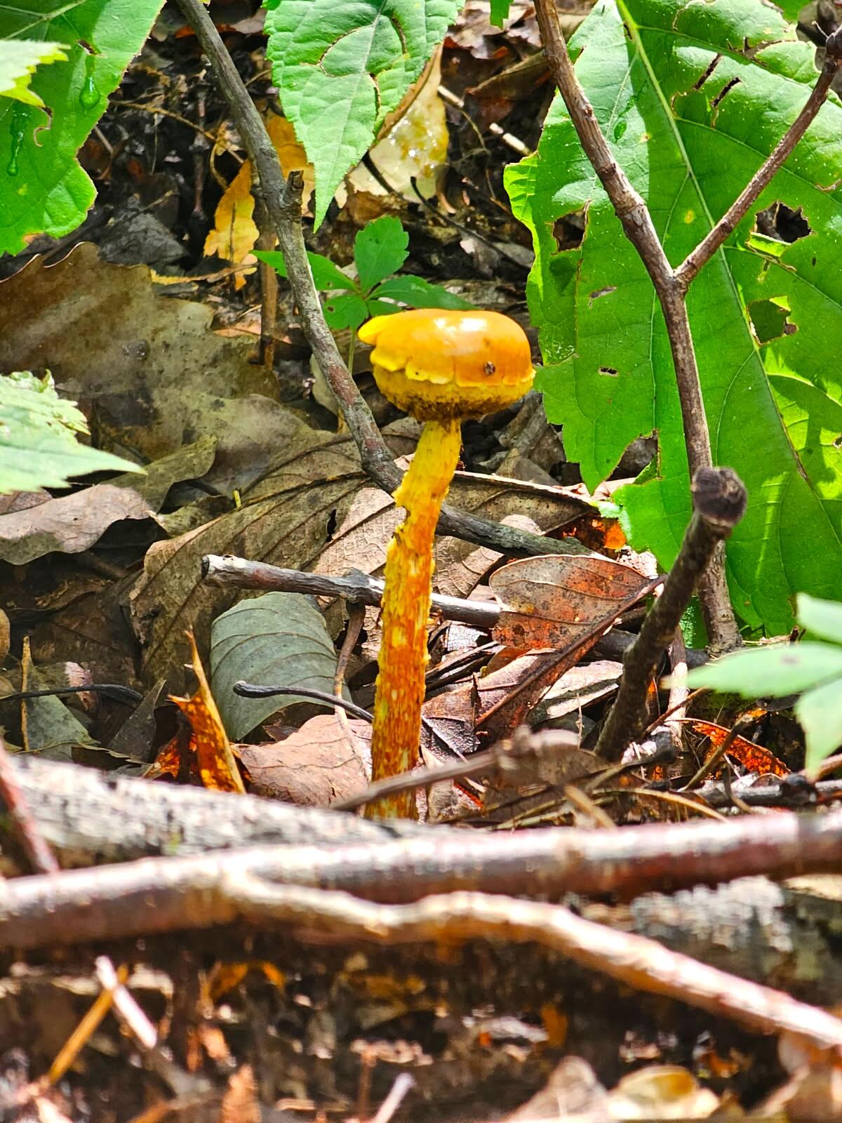 0 Sussex Lot 18 Road