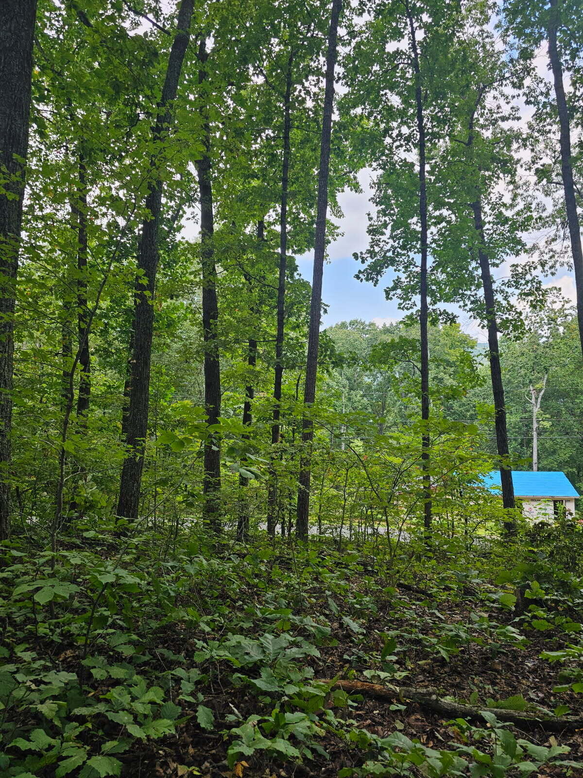 0 Sussex Lot 18 Road