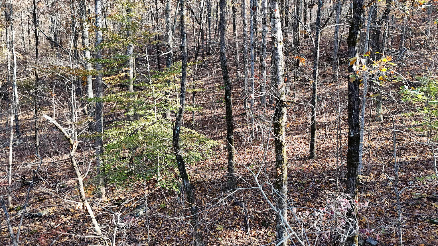 0 Sussex Lot 18 Road