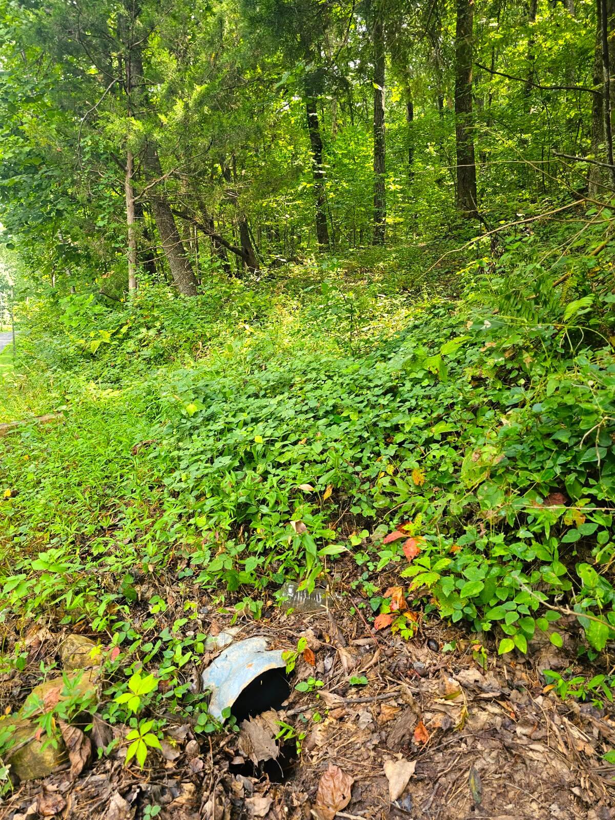 0 Sussex Lot 18 Road