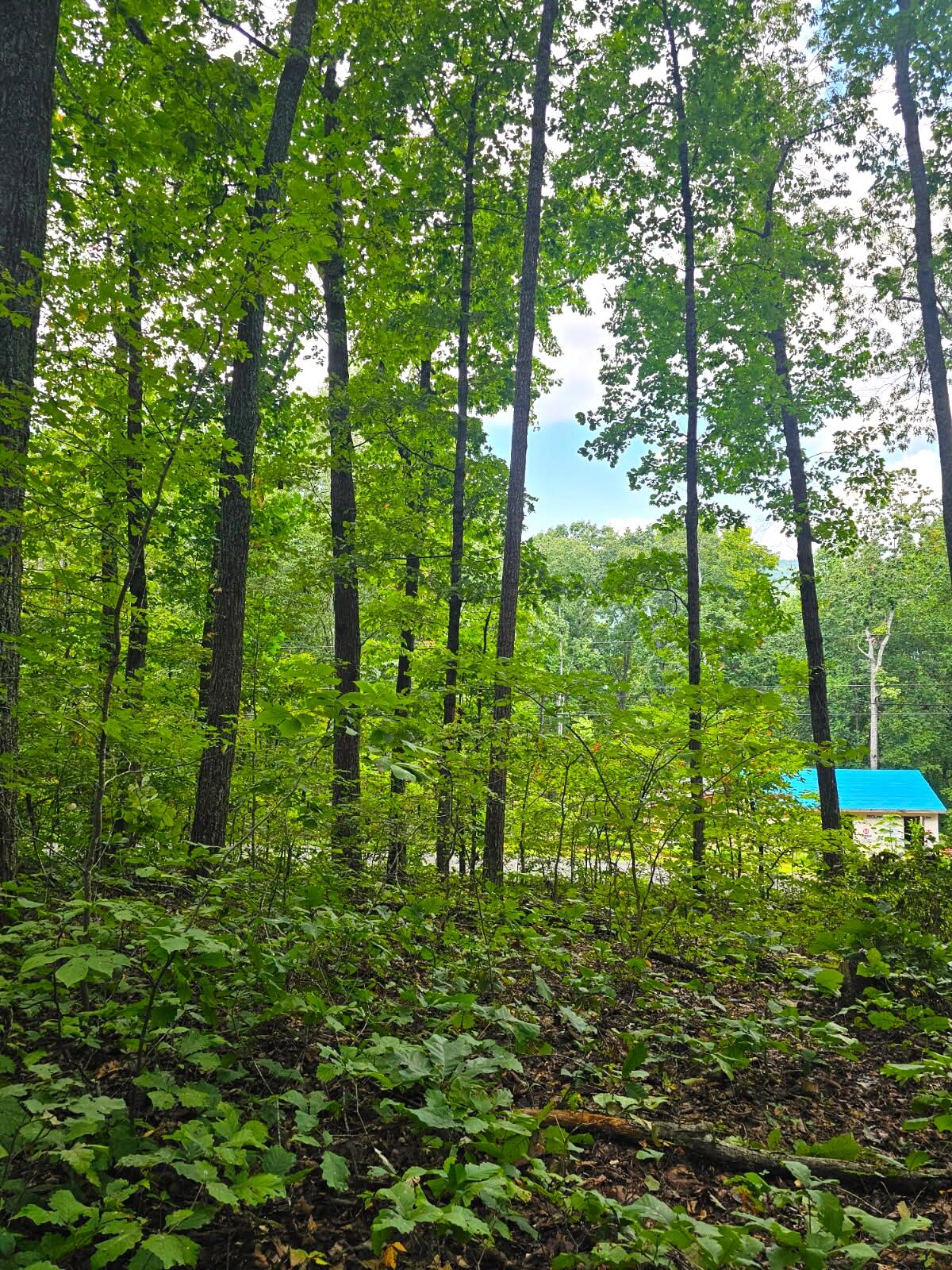 0 Sussex Lot 18 Road