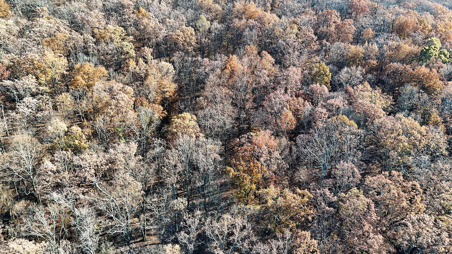 0 Sussex Lot 18 Road