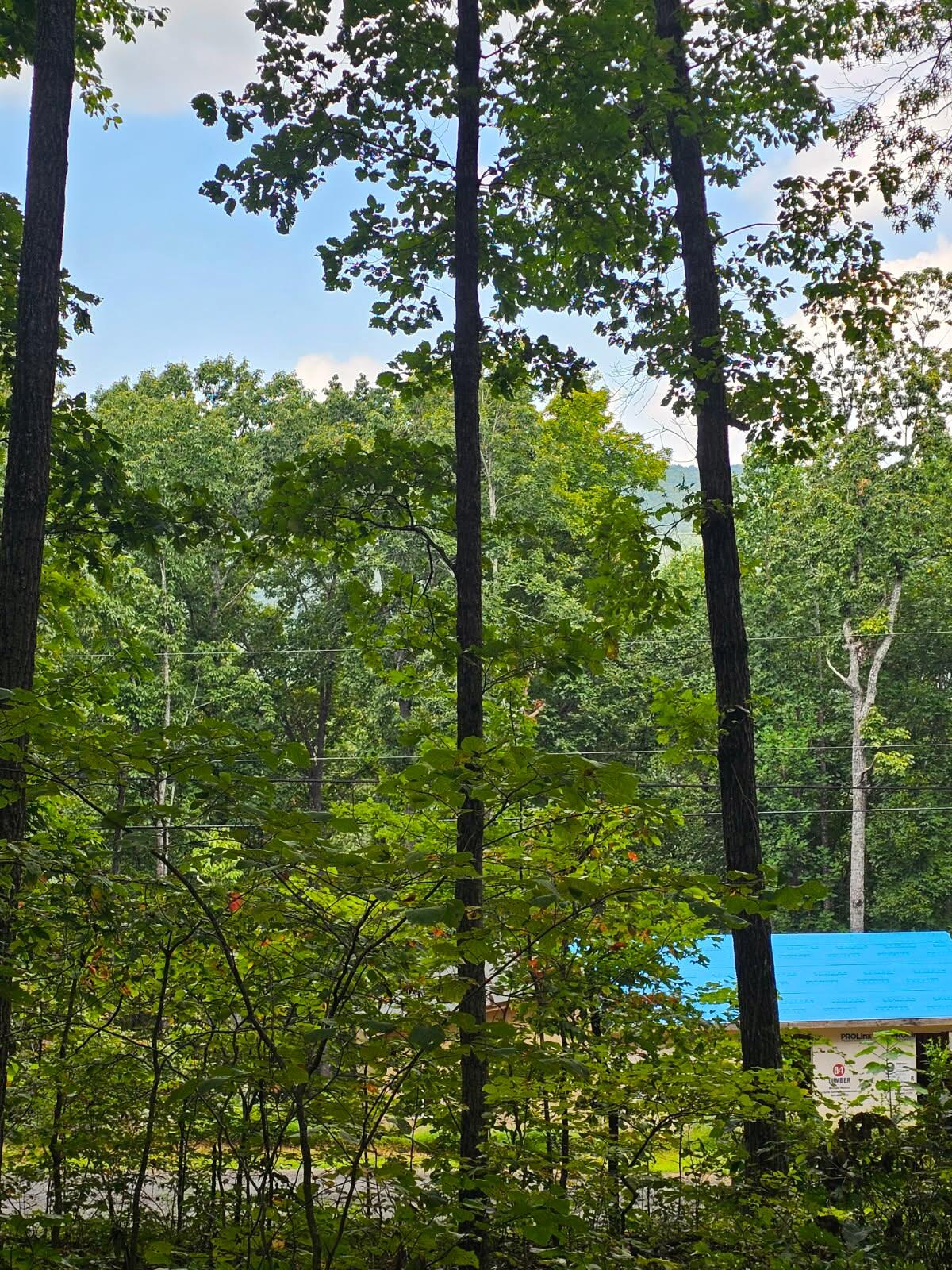 0 Sussex Lot 18 Road