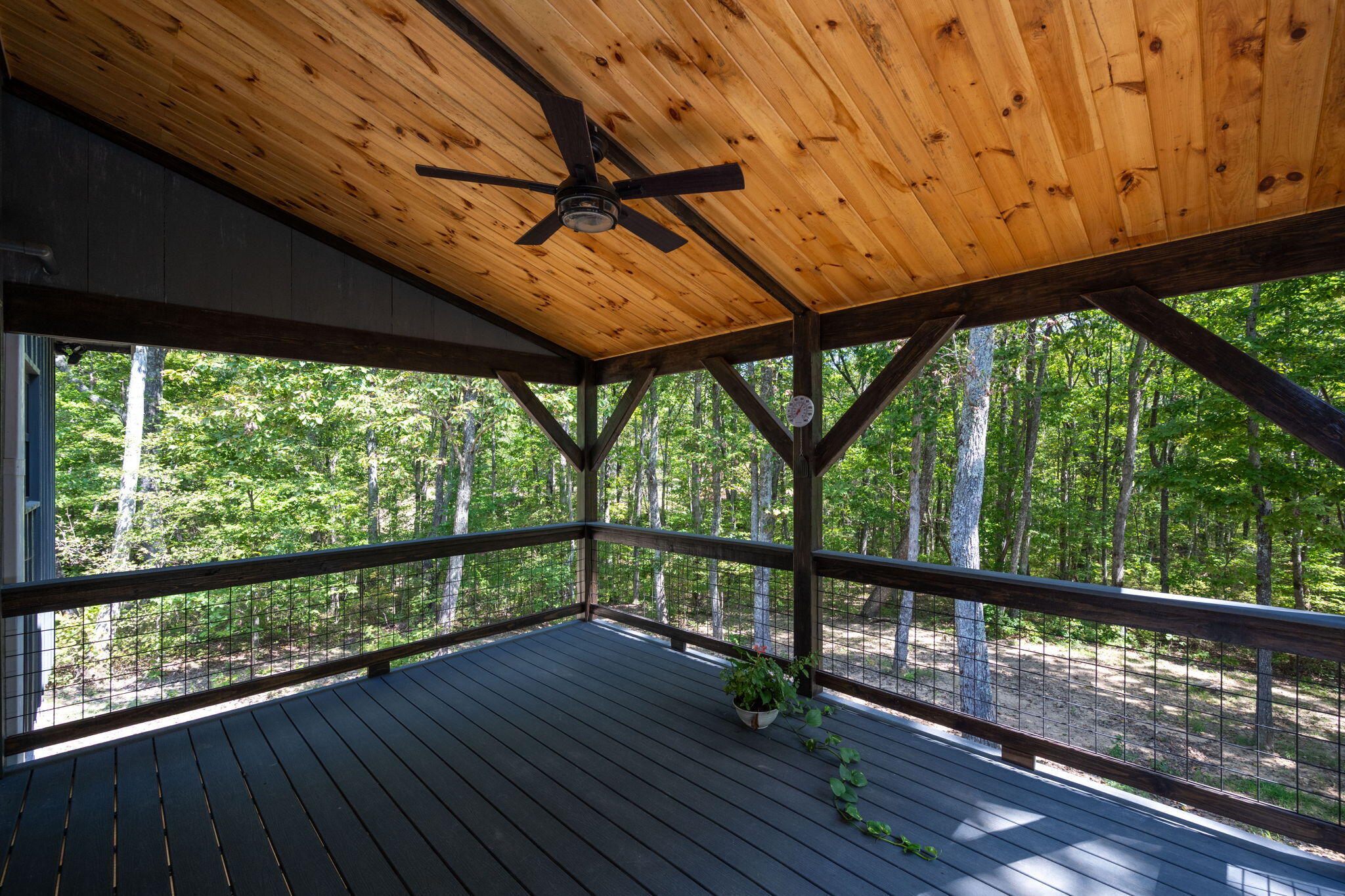 317 Plum Nelly Trail