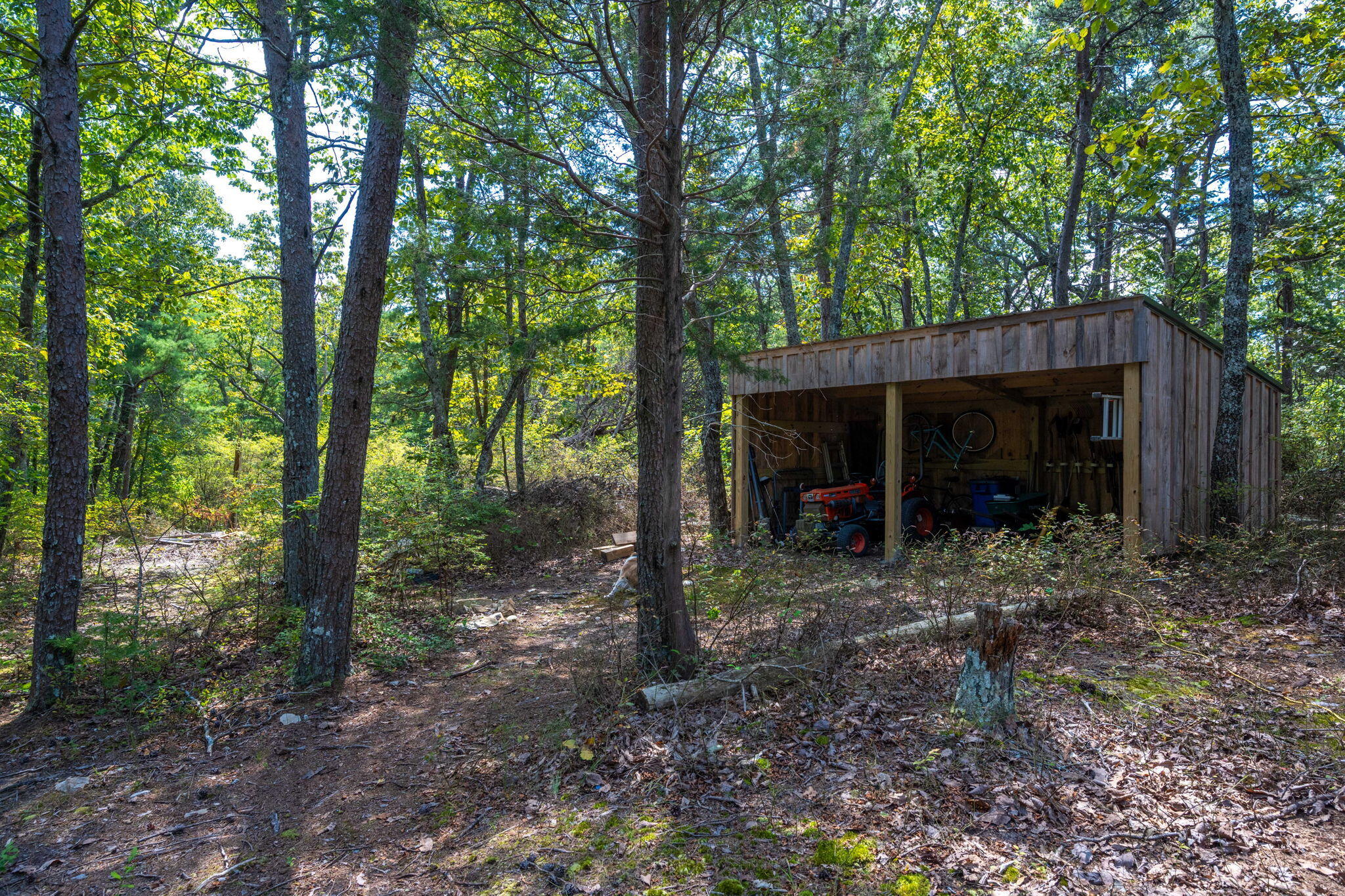 317 Plum Nelly Trail