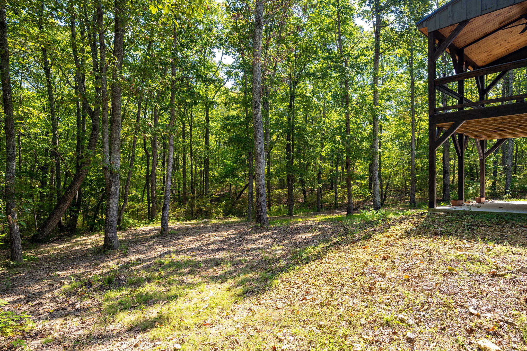 317 Plum Nelly Trail