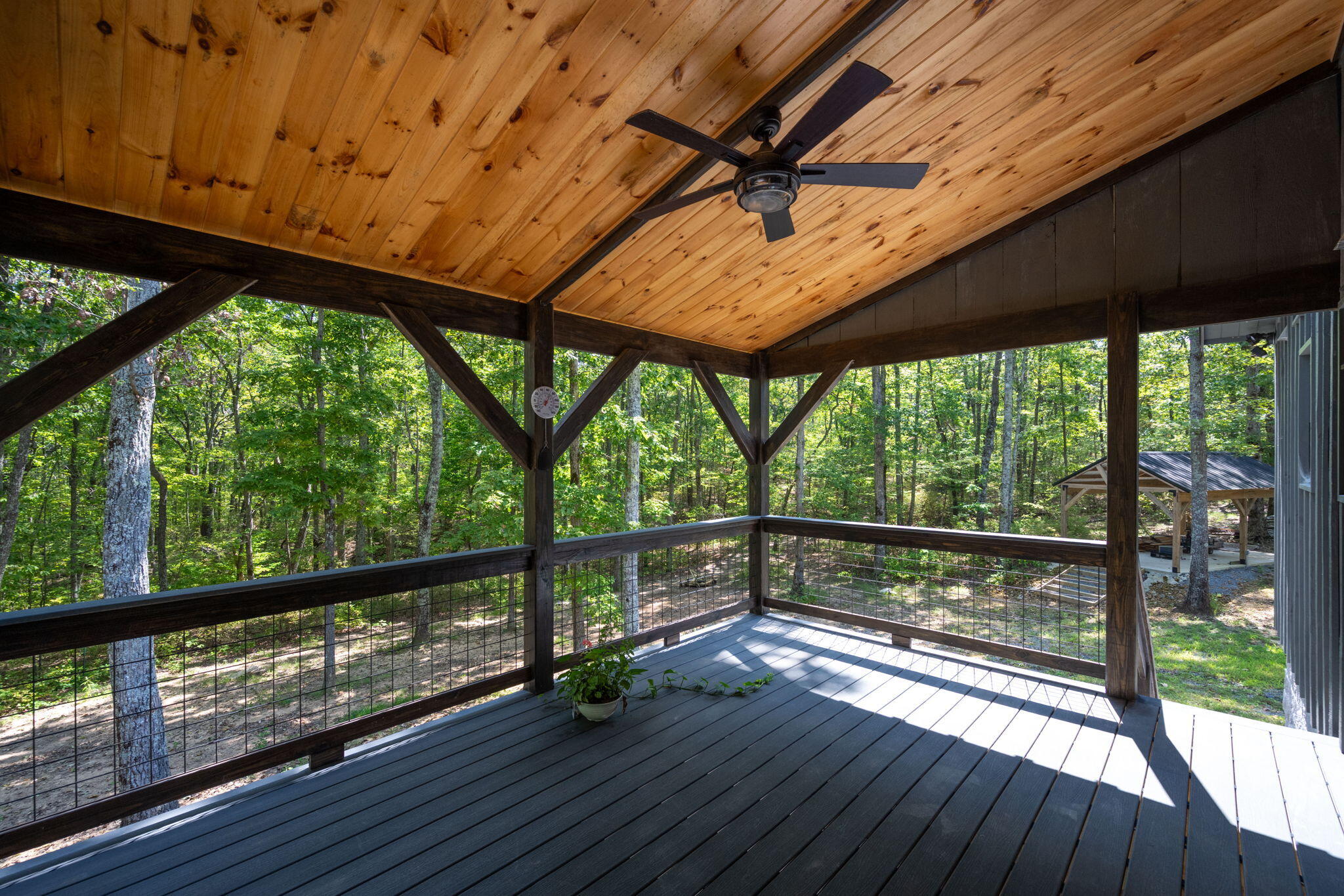 317 Plum Nelly Trail