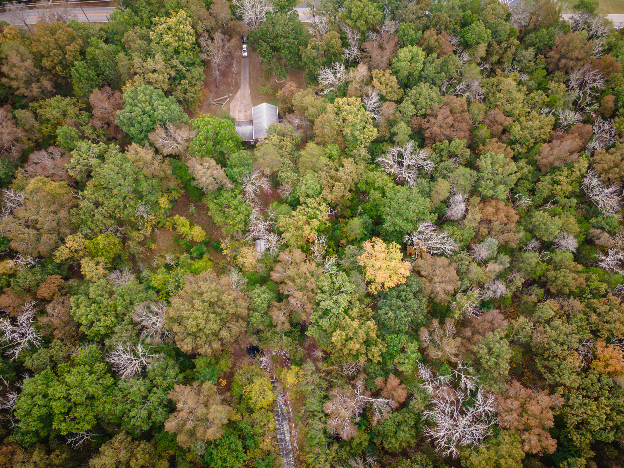 8518 Providence Road