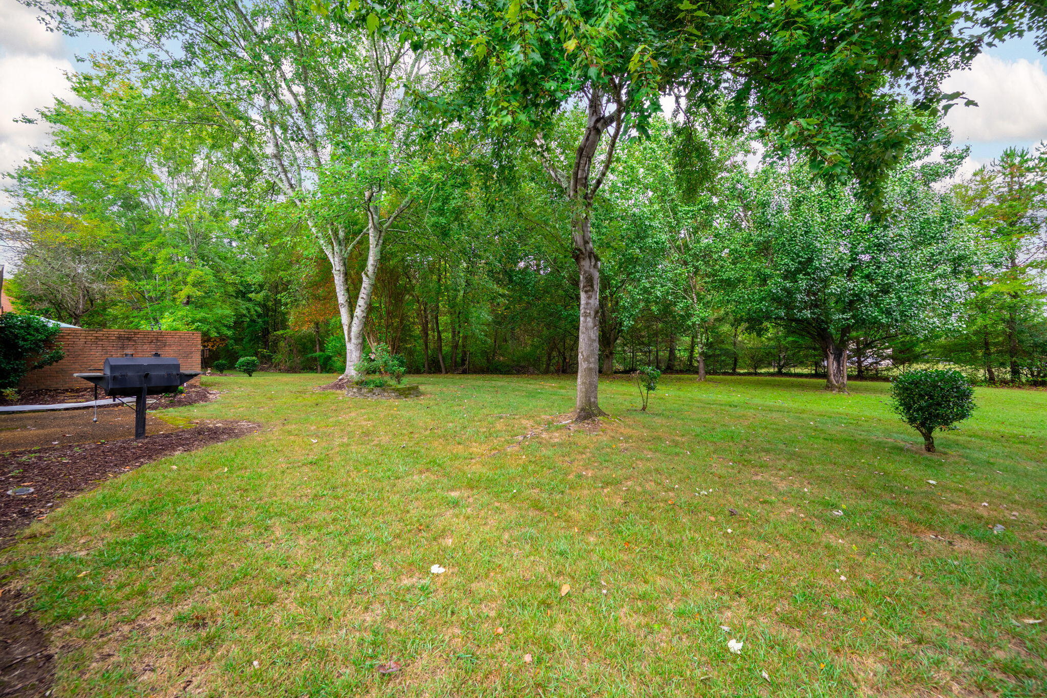 2415 Royal Fern Trail