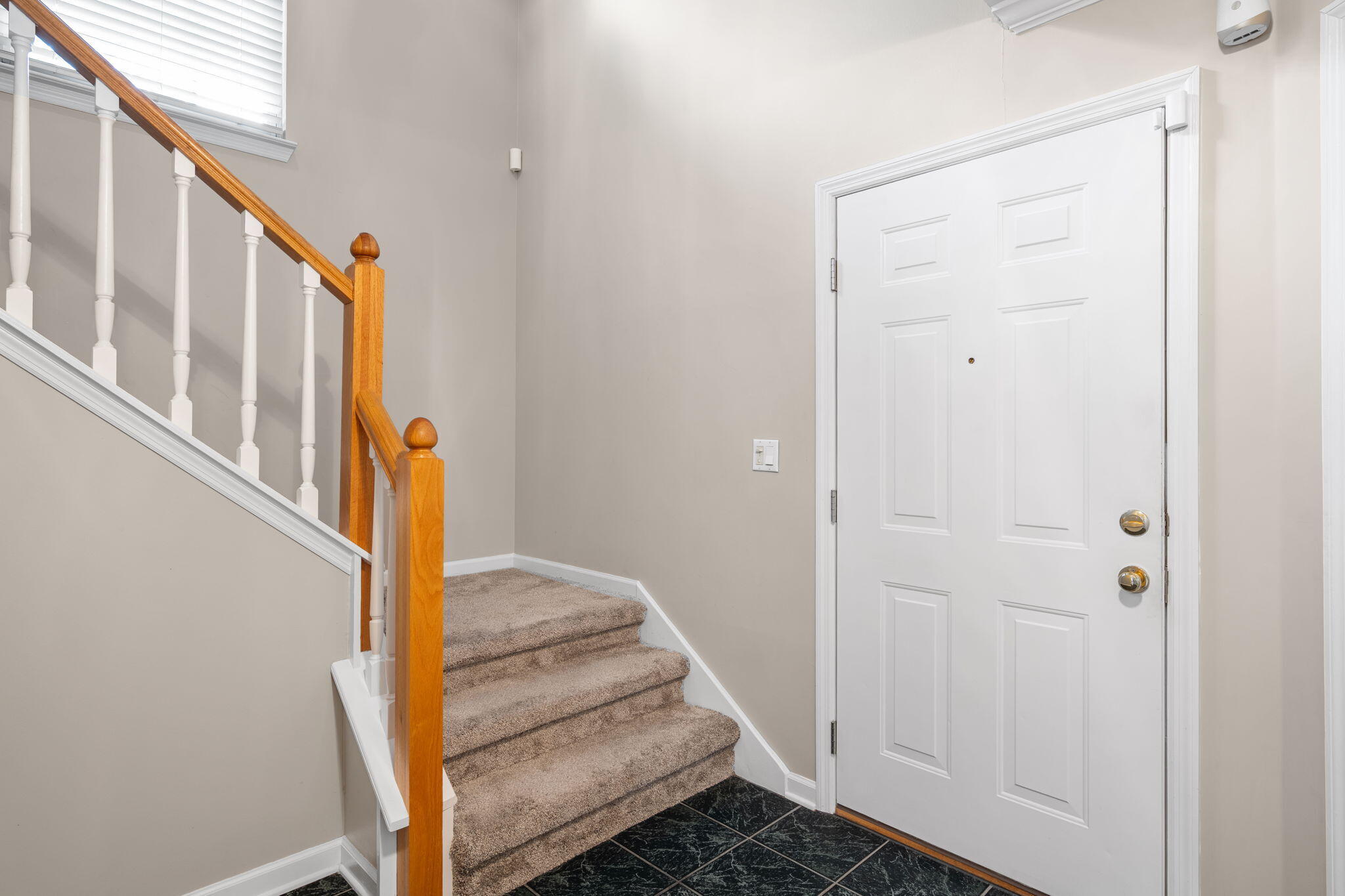 2415 Royal Fern Trail