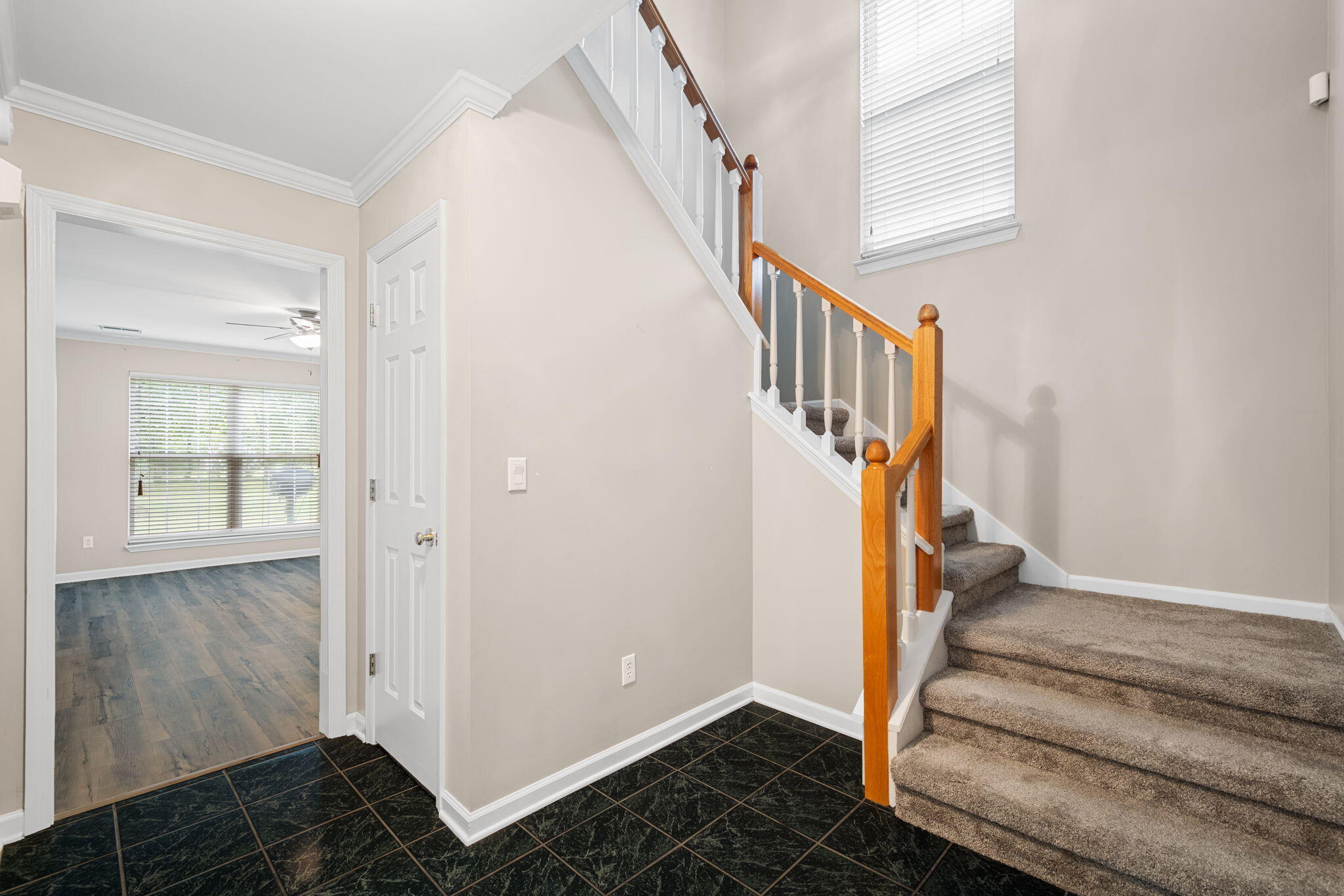 2415 Royal Fern Trail