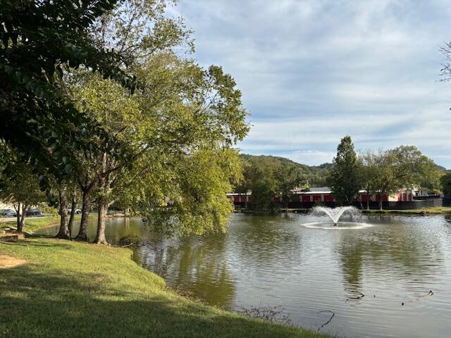 900 Mountain Creek Road, 474