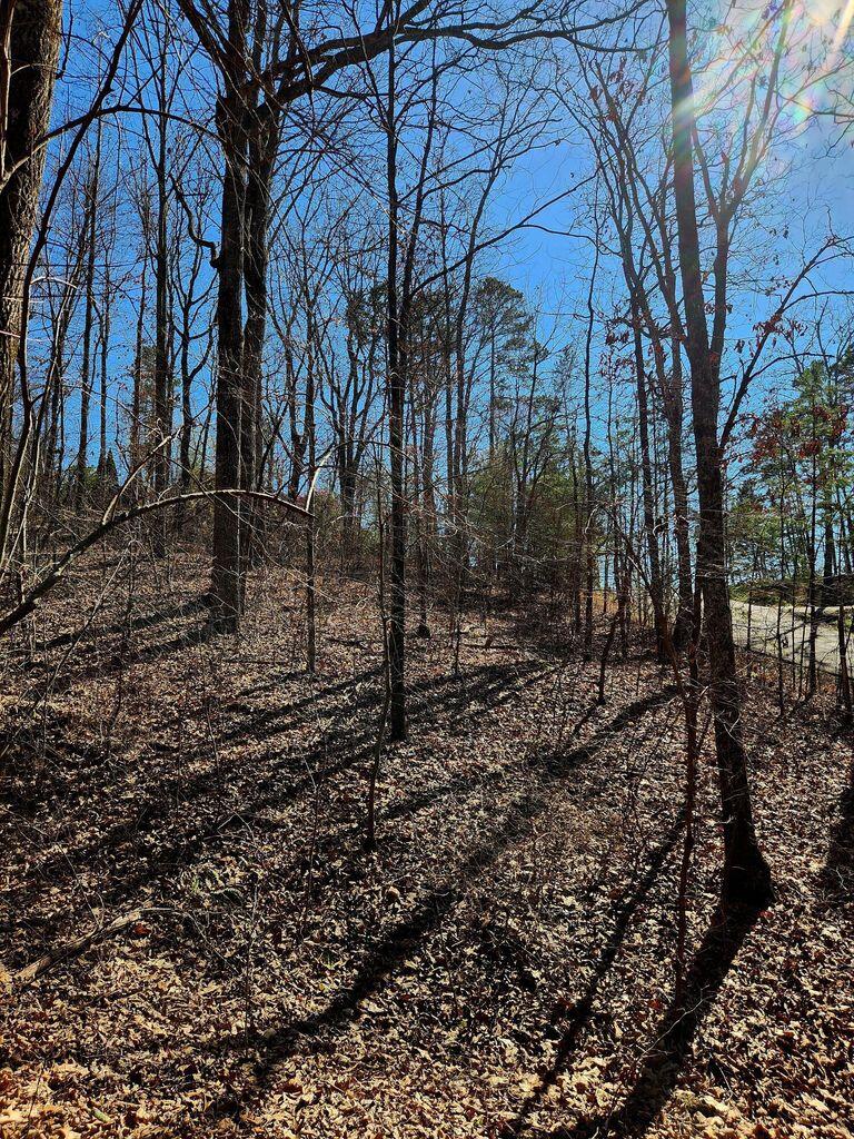 0 Northwoods Lane, 15