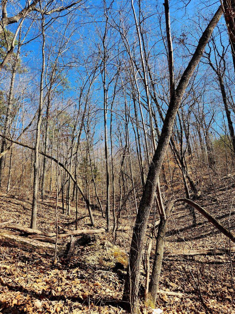 0 Northwoods Lane, 15