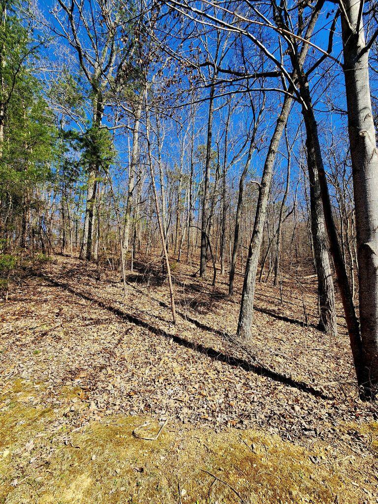 0 Northwoods Lane, 15