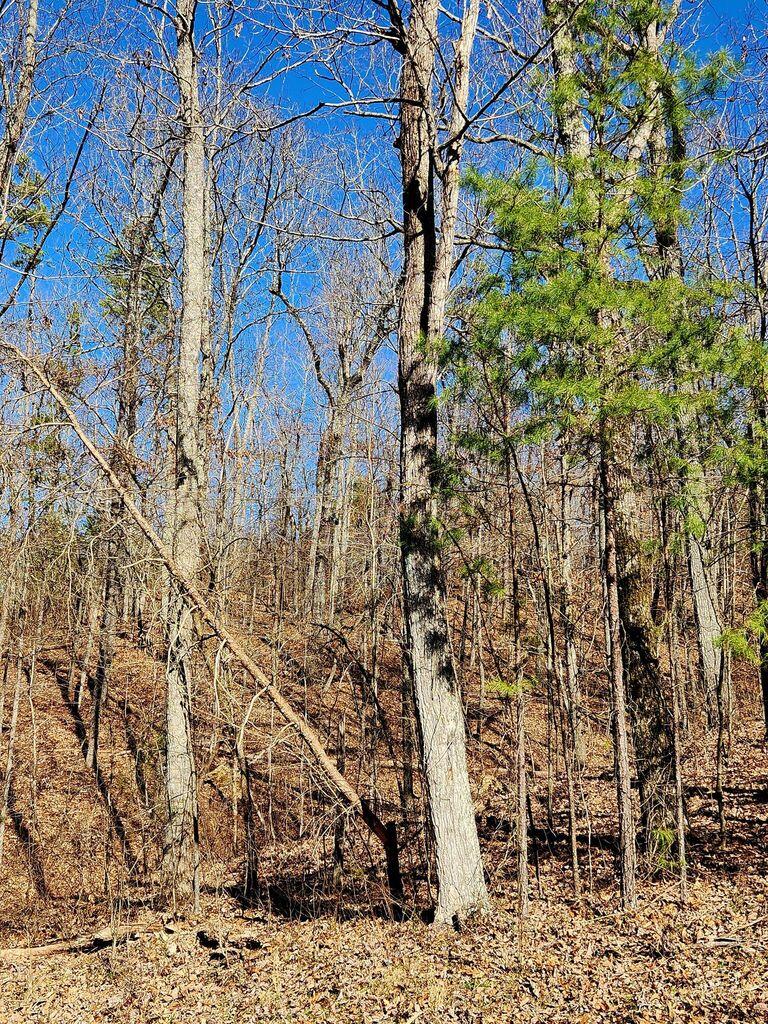 0 Northwoods Lane, 15