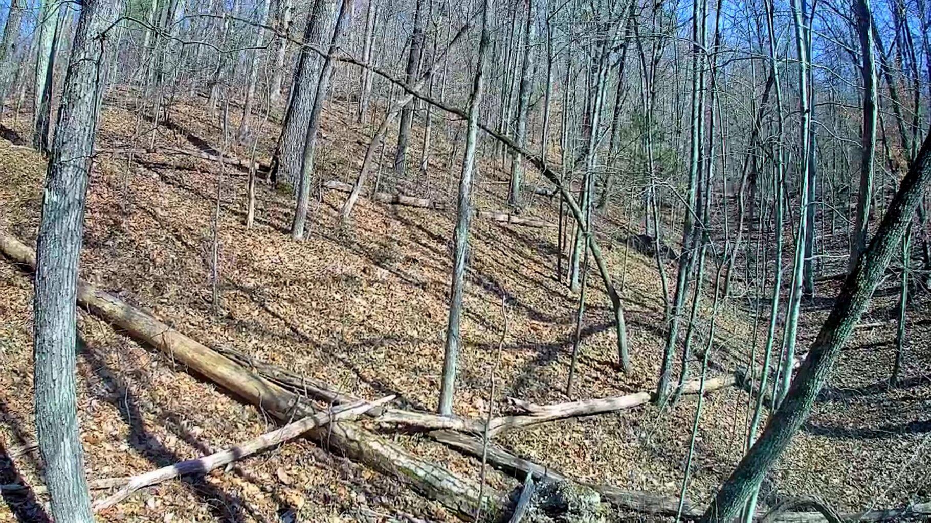 0 Northwoods Lane, 15